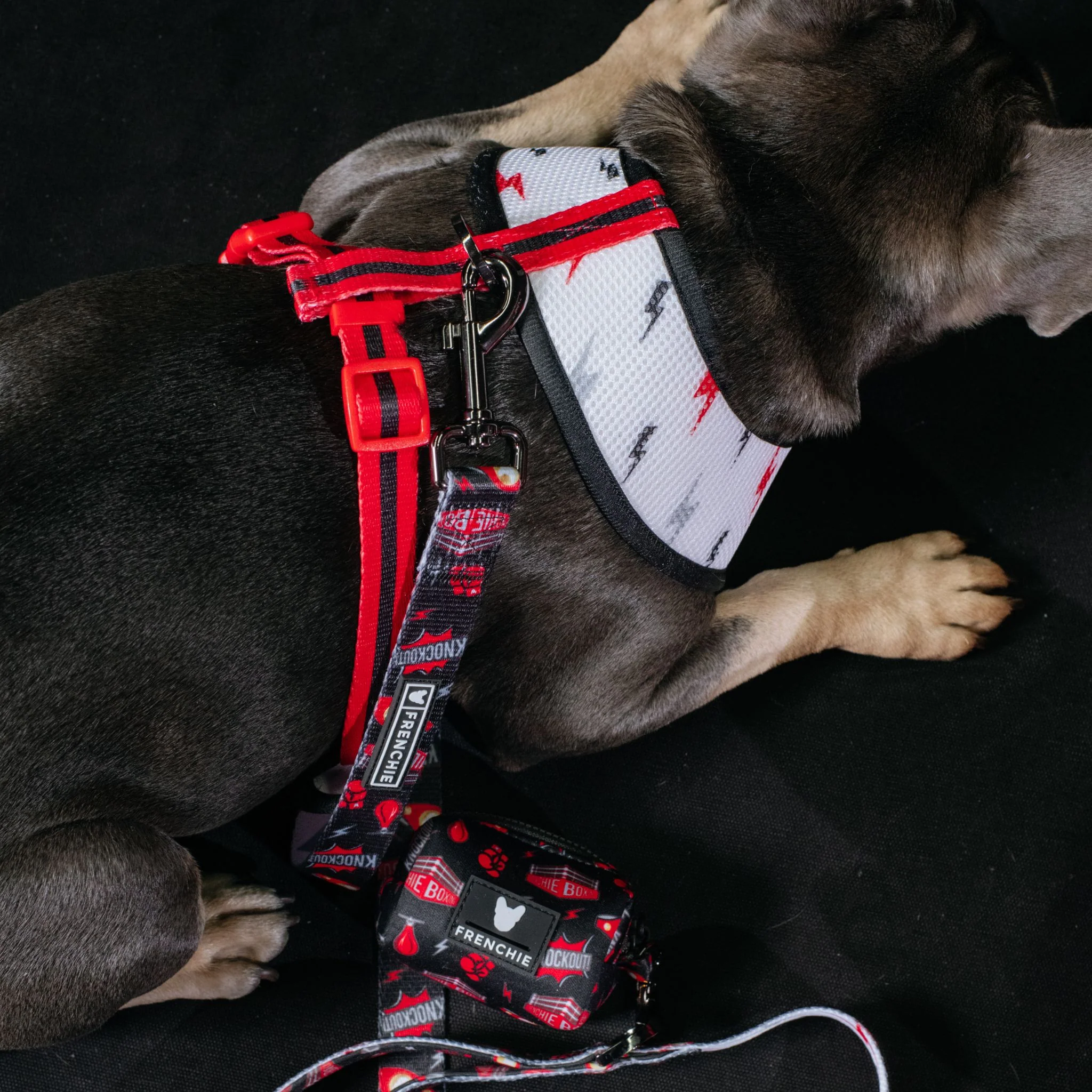Frenchie Duo Reversible Harness - Knockout - Image 13