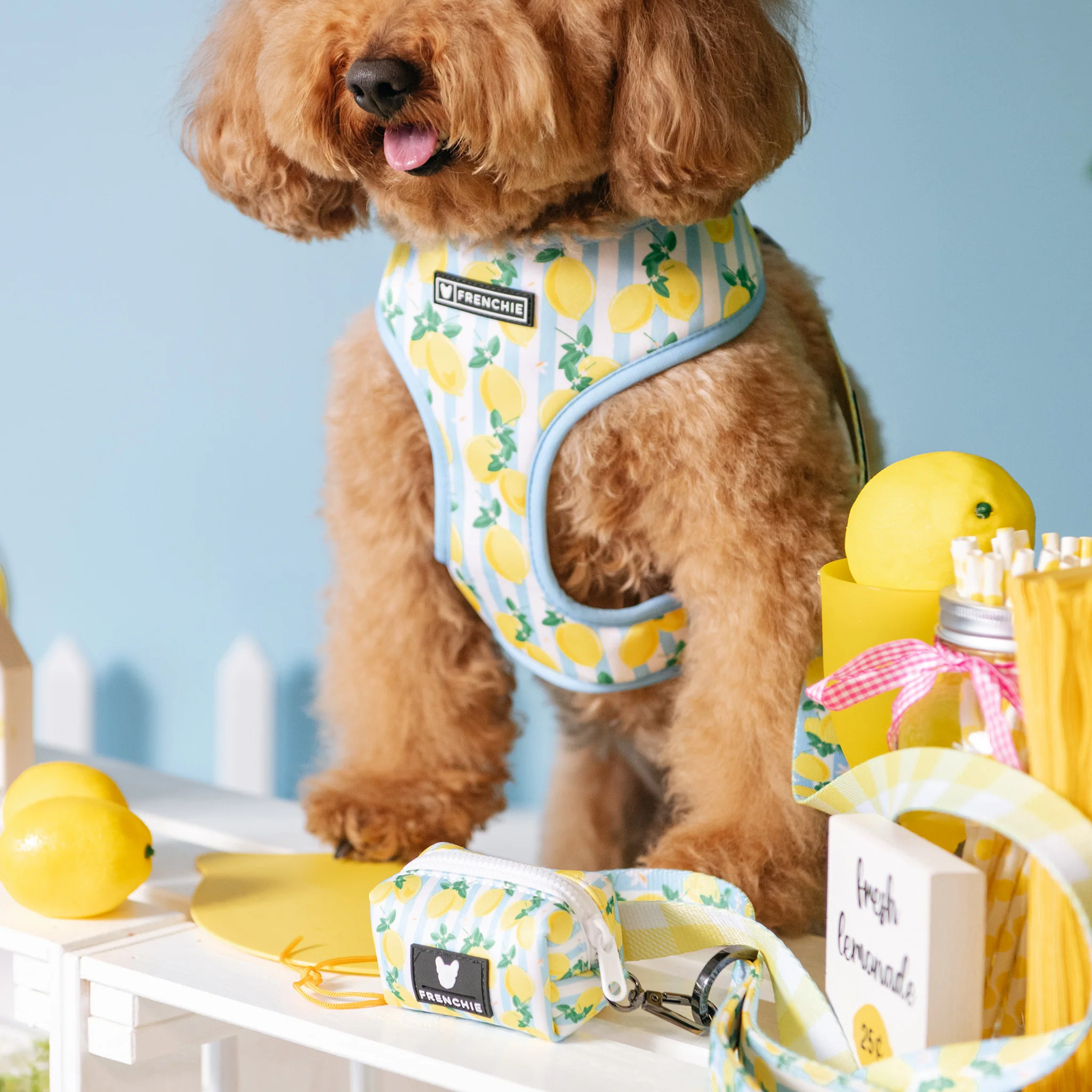 Frenchie Duo Reversible Harness - Lemon Tree - Image 5