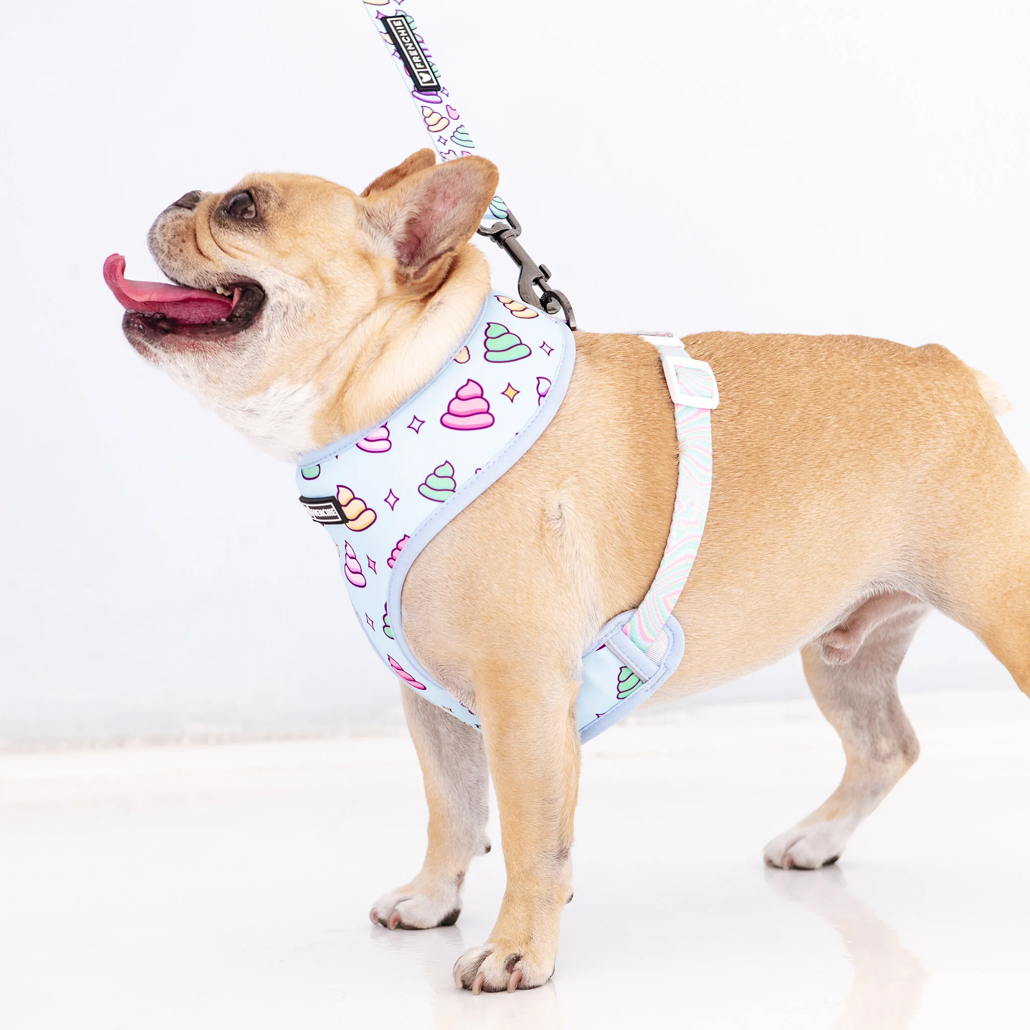 Frenchie Duo Reversible Harness - Ohh Sh*t - Image 3