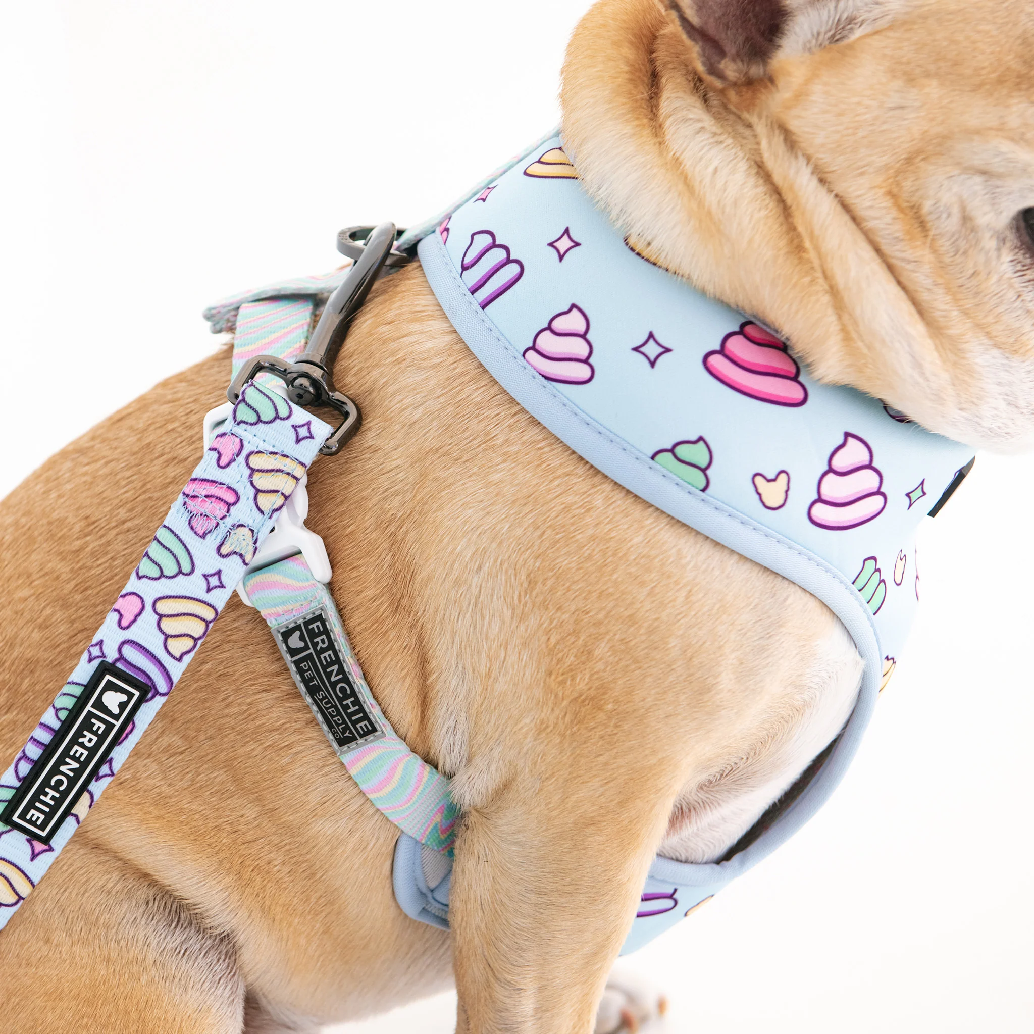 Frenchie Duo Reversible Harness - Ohh Sh*t - Image 4
