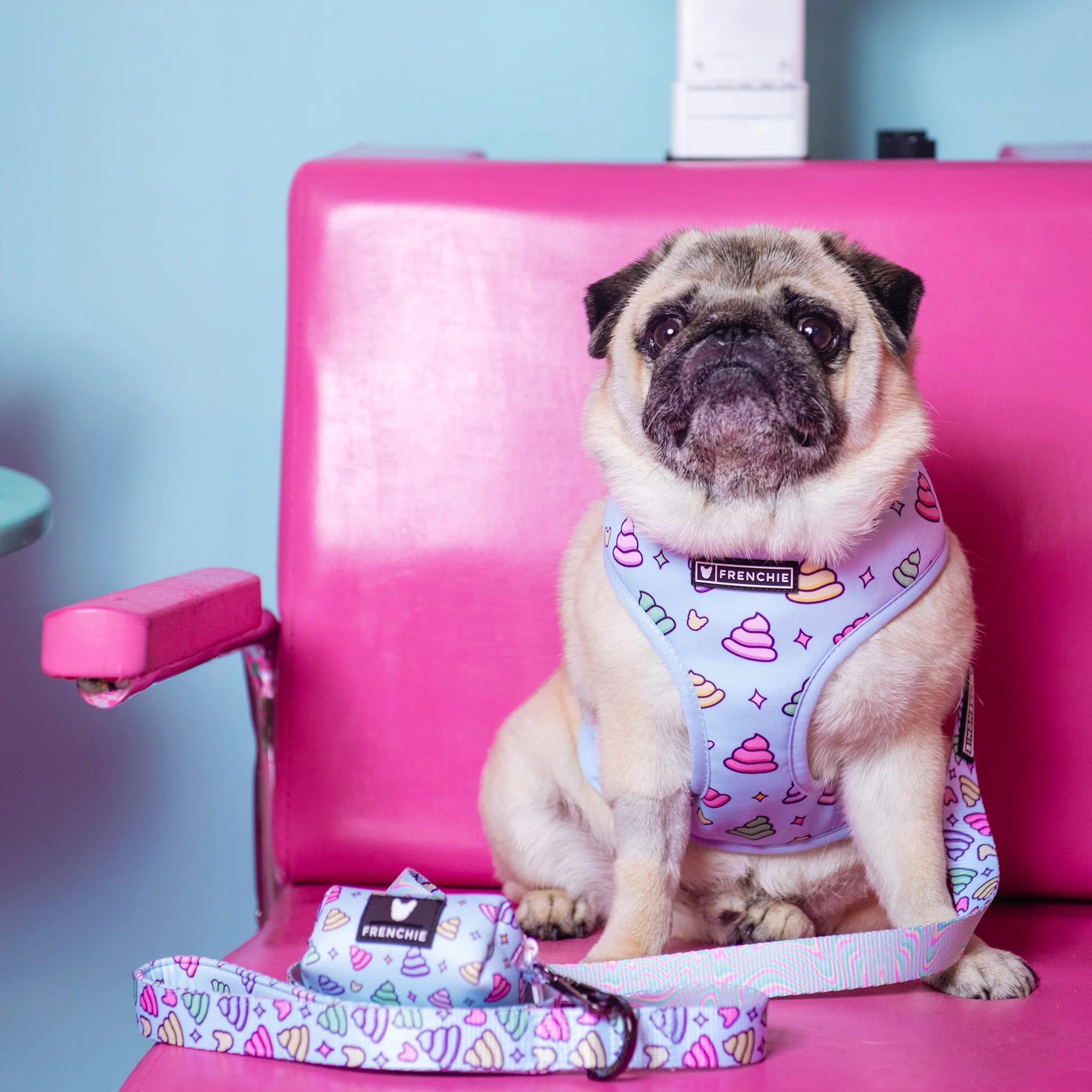 Frenchie Duo Reversible Harness - Ohh Sh*t - Image 8