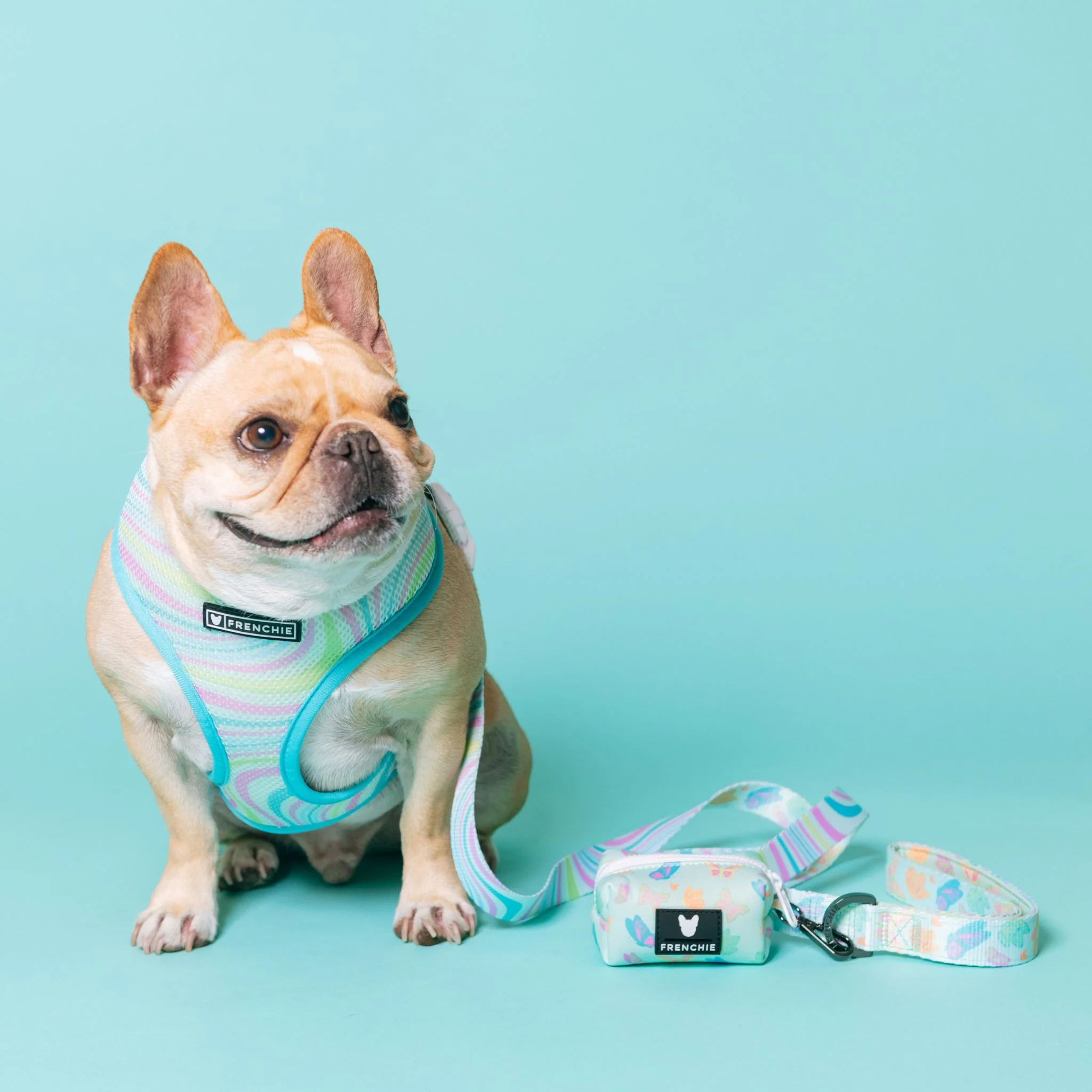 Frenchie Duo Reversible Harness - Pastel Butterfly - Image 2