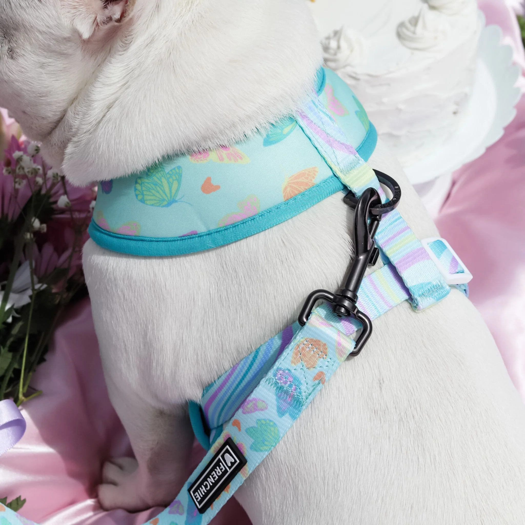 Frenchie Duo Reversible Harness - Pastel Butterfly - Image 4