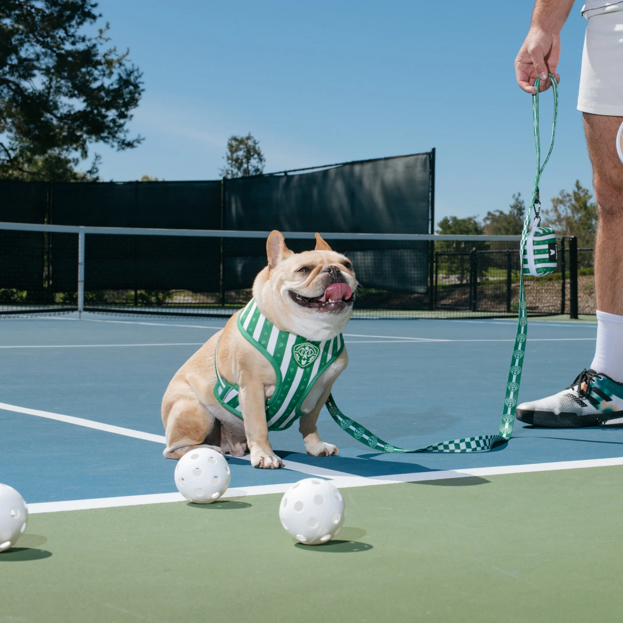 Frenchie Duo Reversible Harness - Pickleball - Image 2