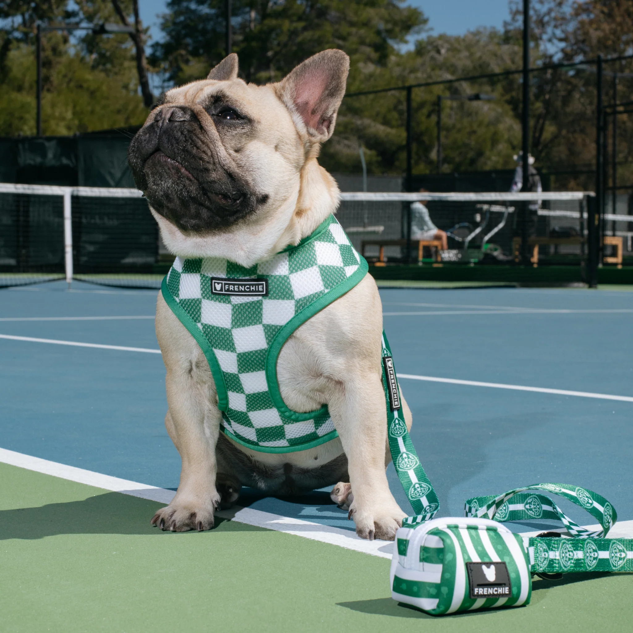 Frenchie Duo Reversible Harness - Pickleball - Image 3