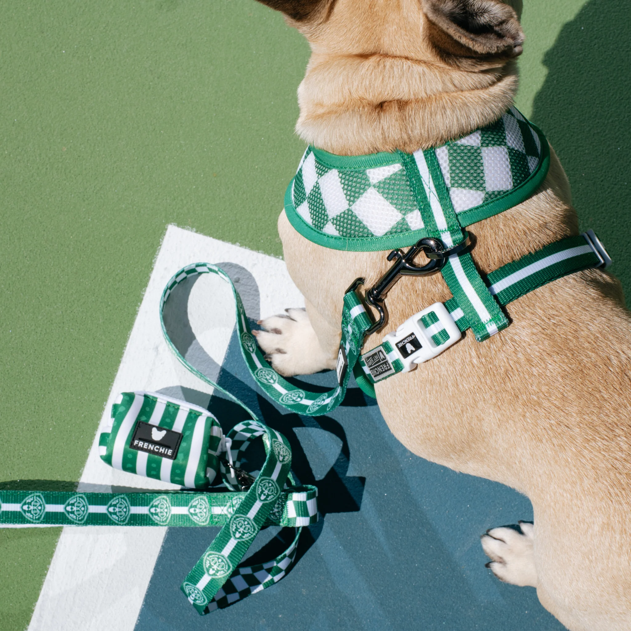 Frenchie Duo Reversible Harness - Pickleball - Image 6