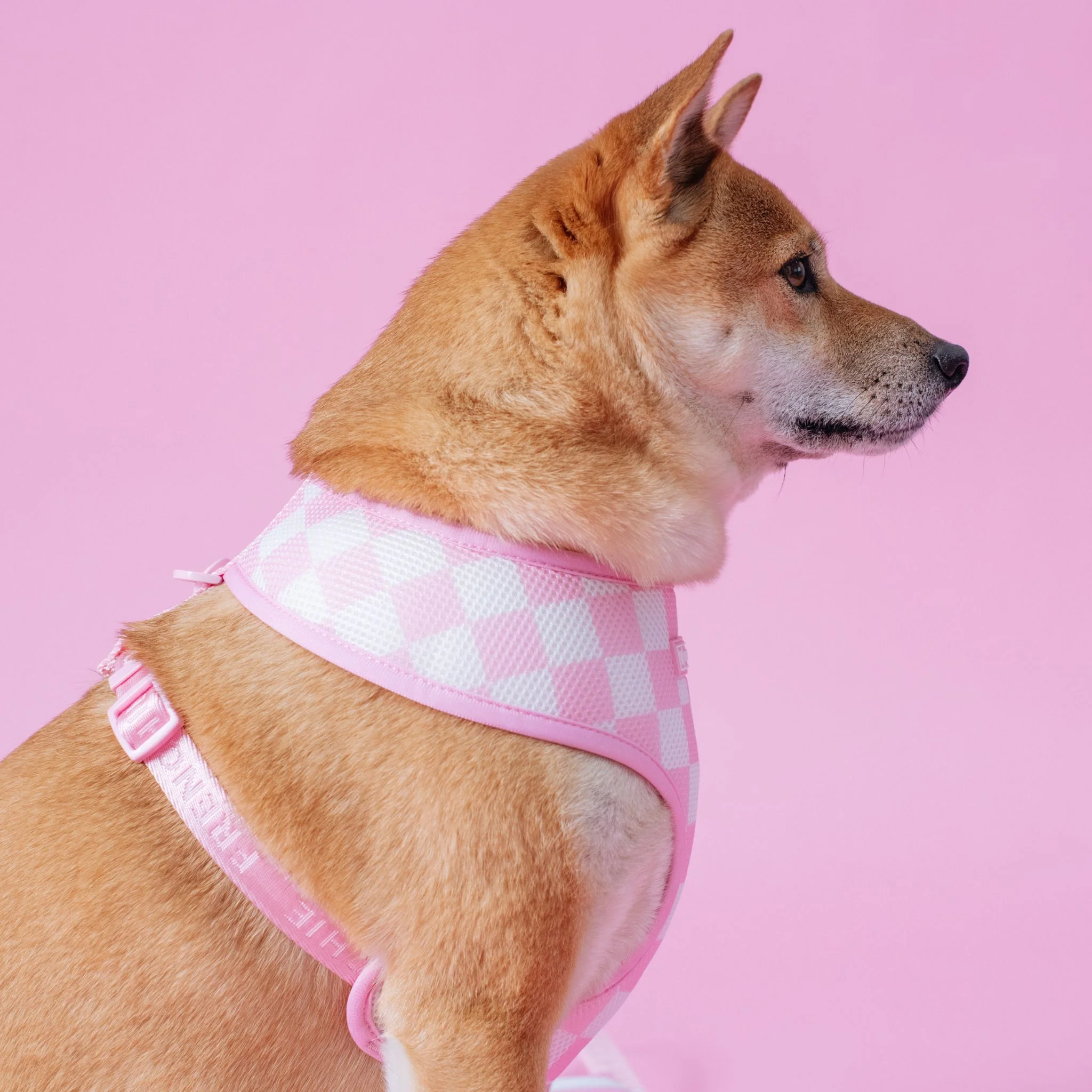 Frenchie Duo Reversible Harness - Solid Pink Bubblegum - Image 3