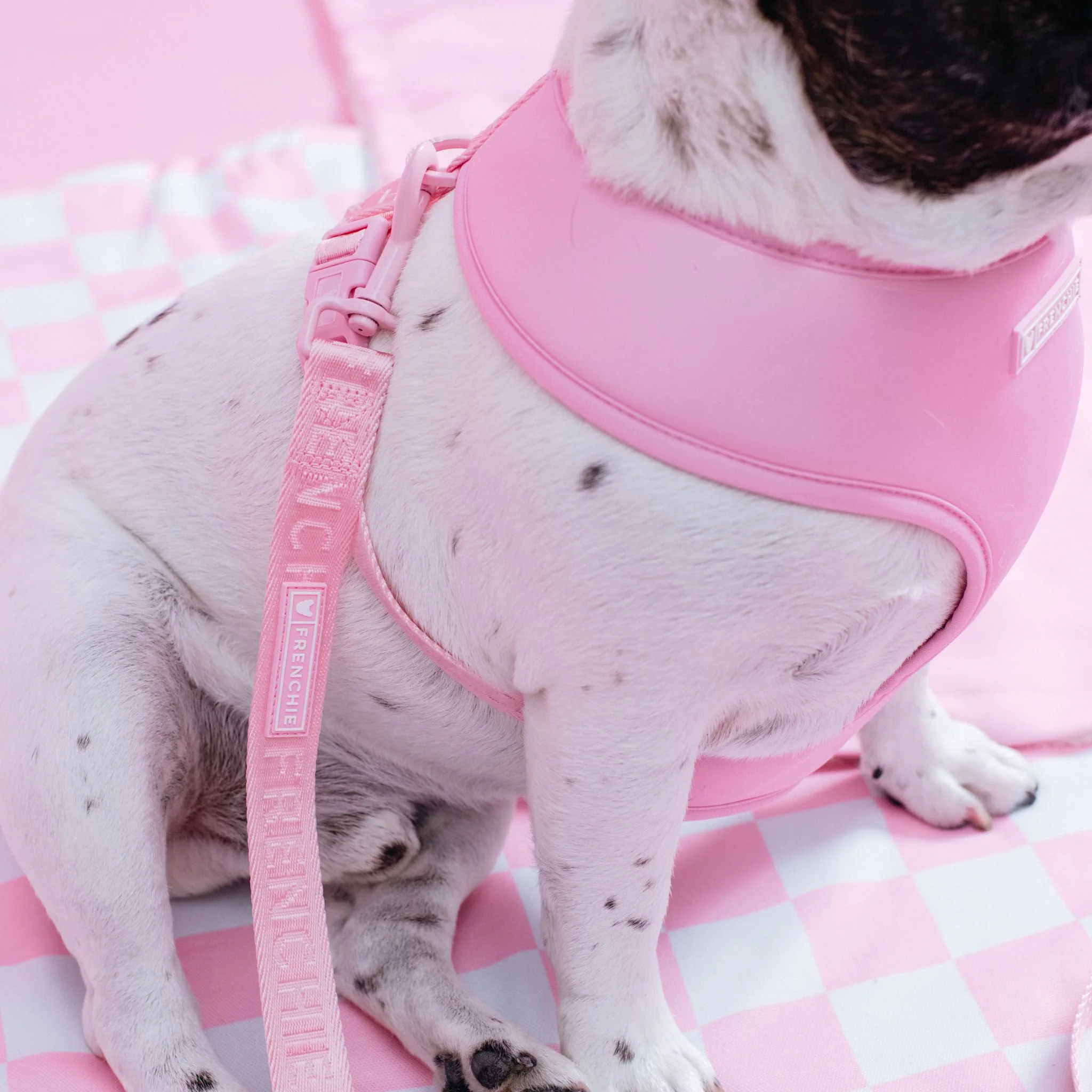 Frenchie Duo Reversible Harness - Solid Pink Bubblegum - Image 4