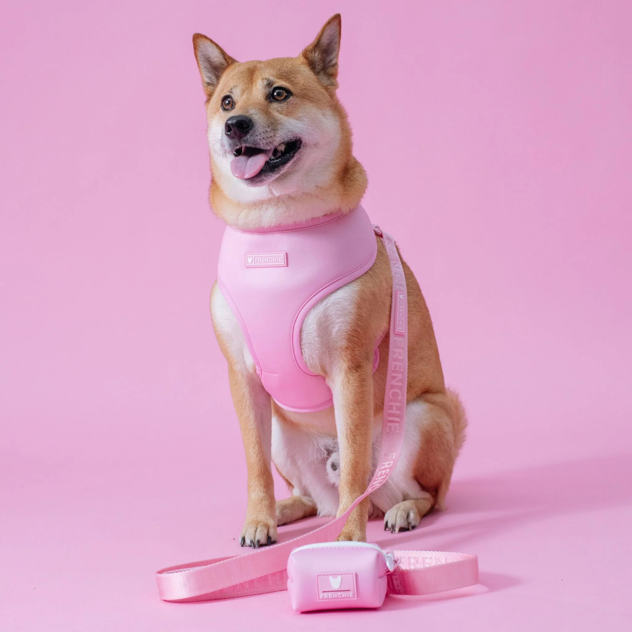 Frenchie Duo Reversible Harness - Solid Pink Bubblegum - Image 5