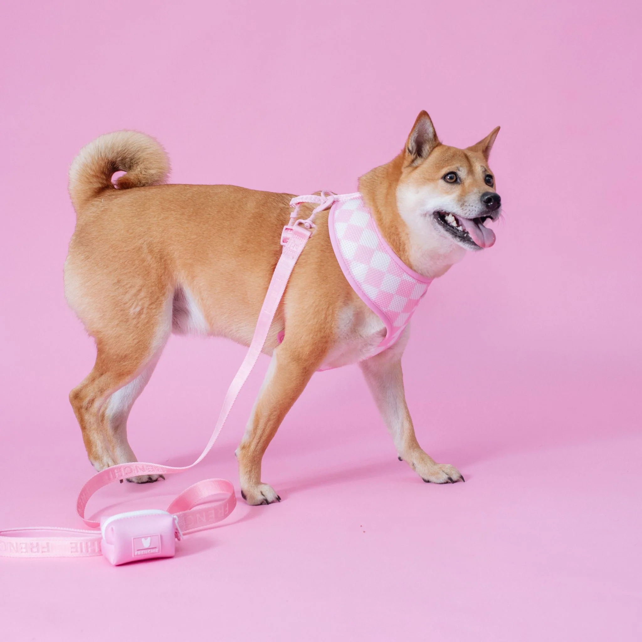 Frenchie Duo Reversible Harness - Solid Pink Bubblegum - Image 7