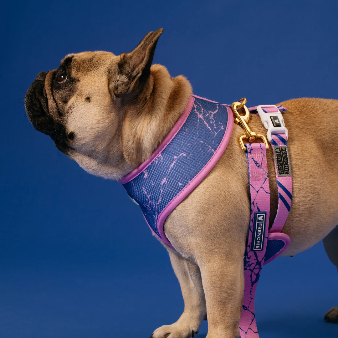 Frenchie Duo Reversible Harness - Pink Marble - Image 3