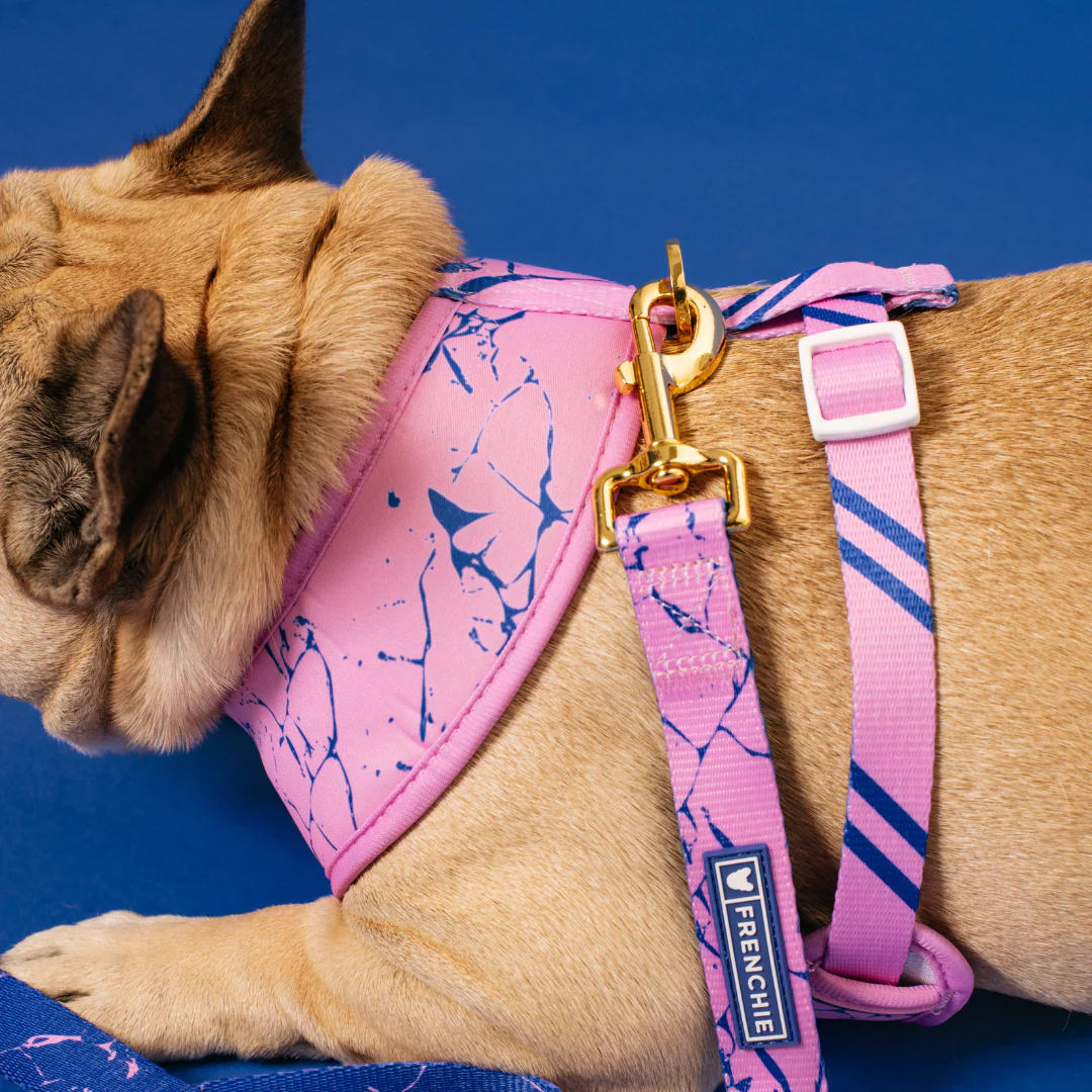 Frenchie Duo Reversible Harness - Pink Marble - Image 4