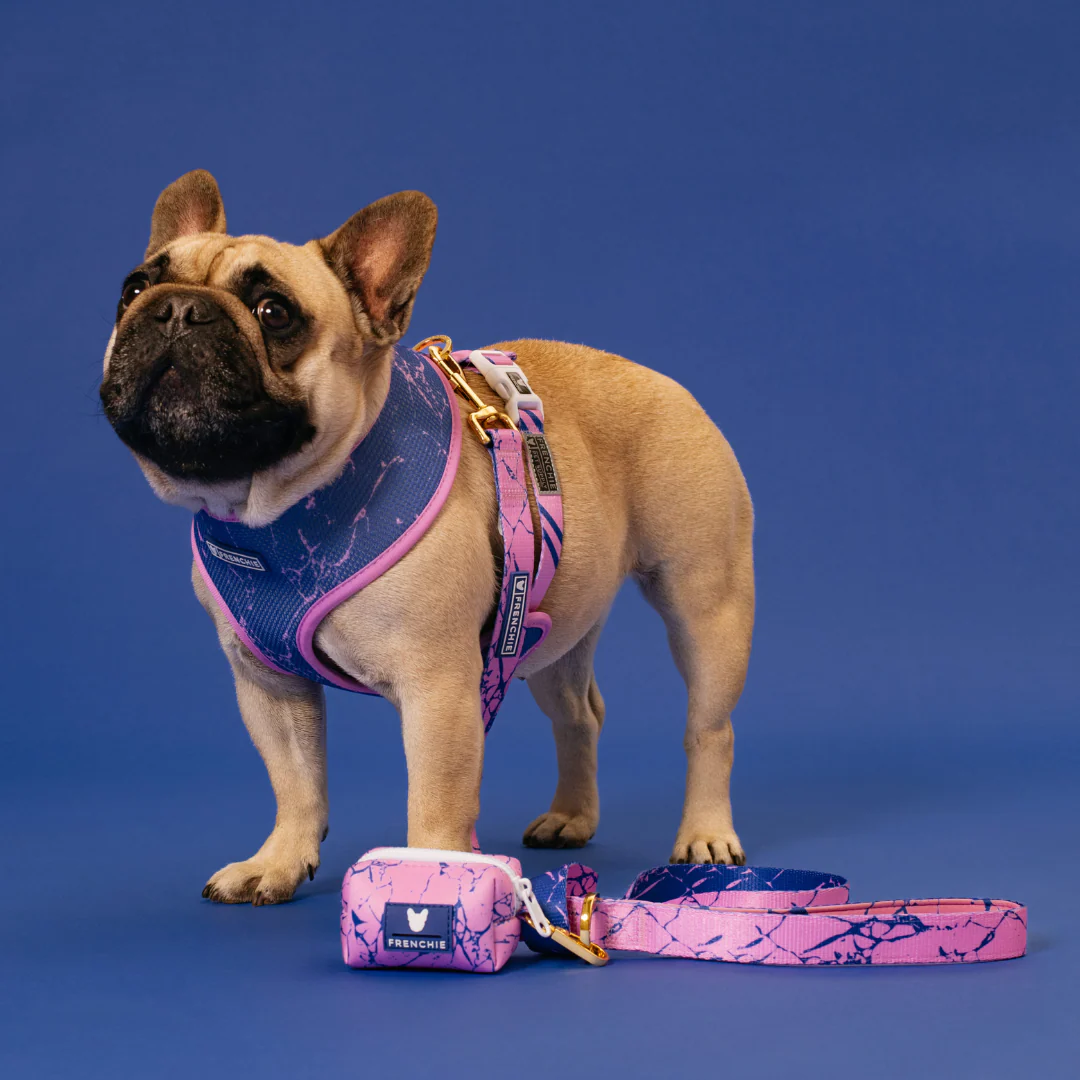 Frenchie Duo Reversible Harness - Pink Marble - Image 5