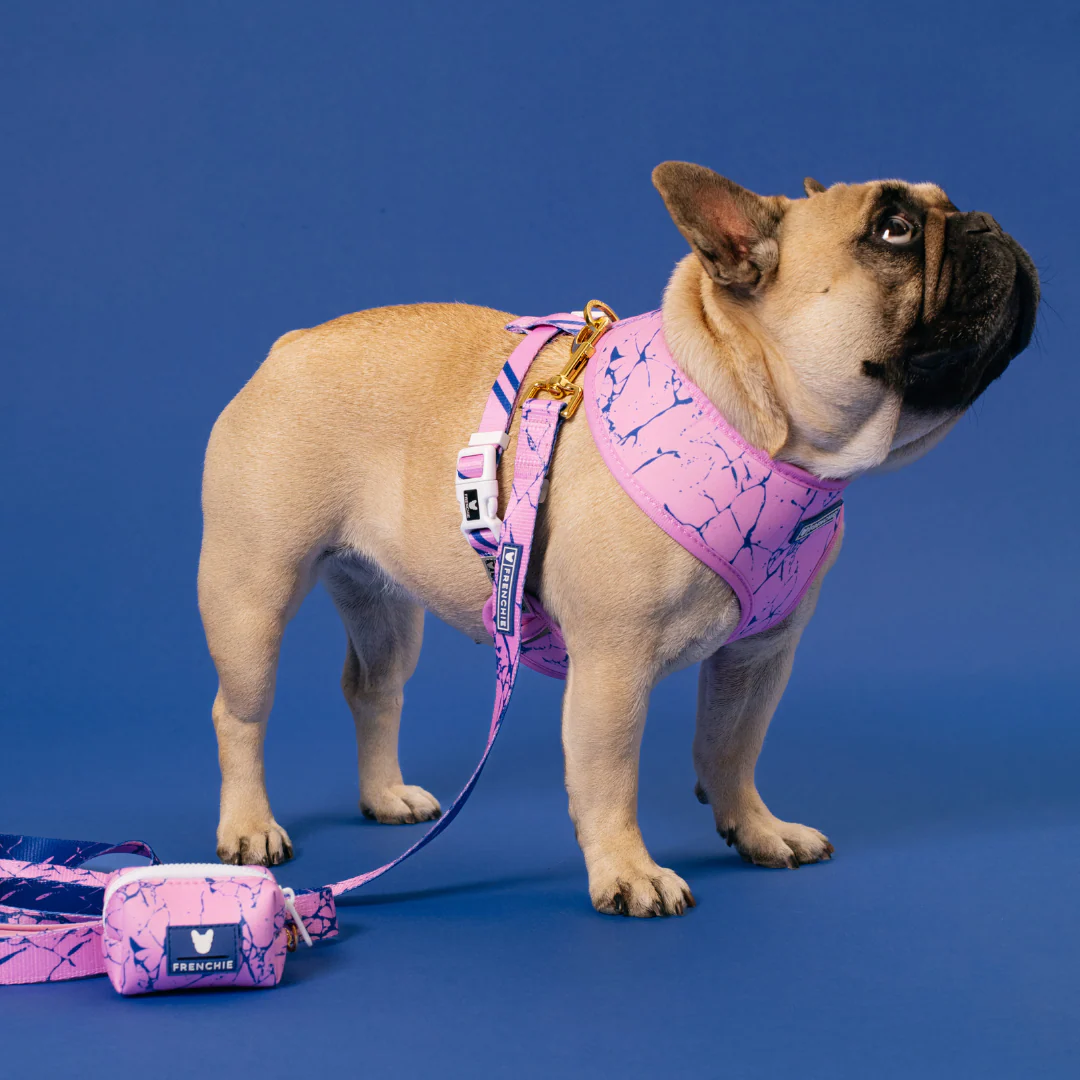 Frenchie Duo Reversible Harness - Pink Marble - Image 6
