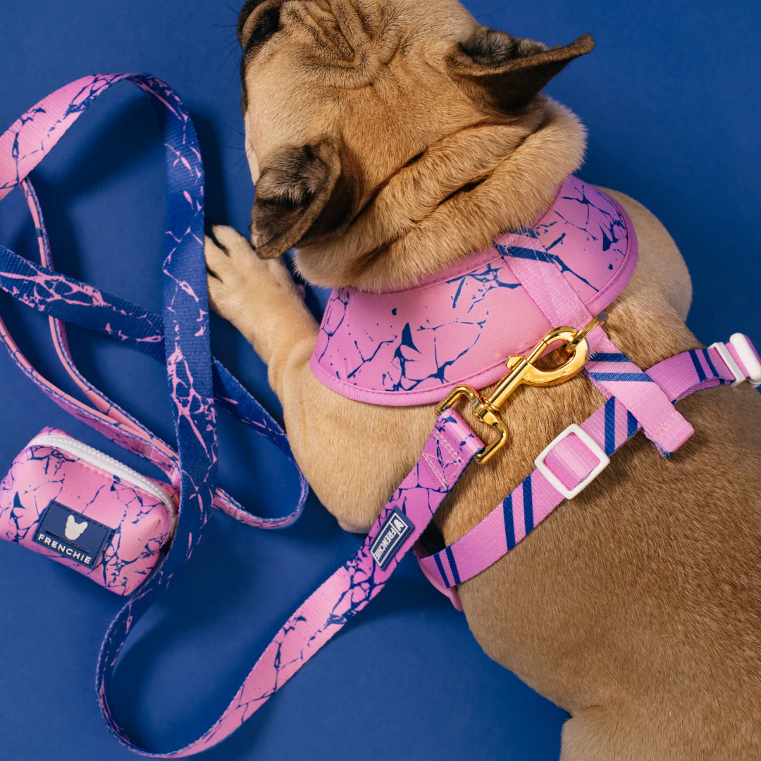Frenchie Duo Reversible Harness - Pink Marble - Image 7