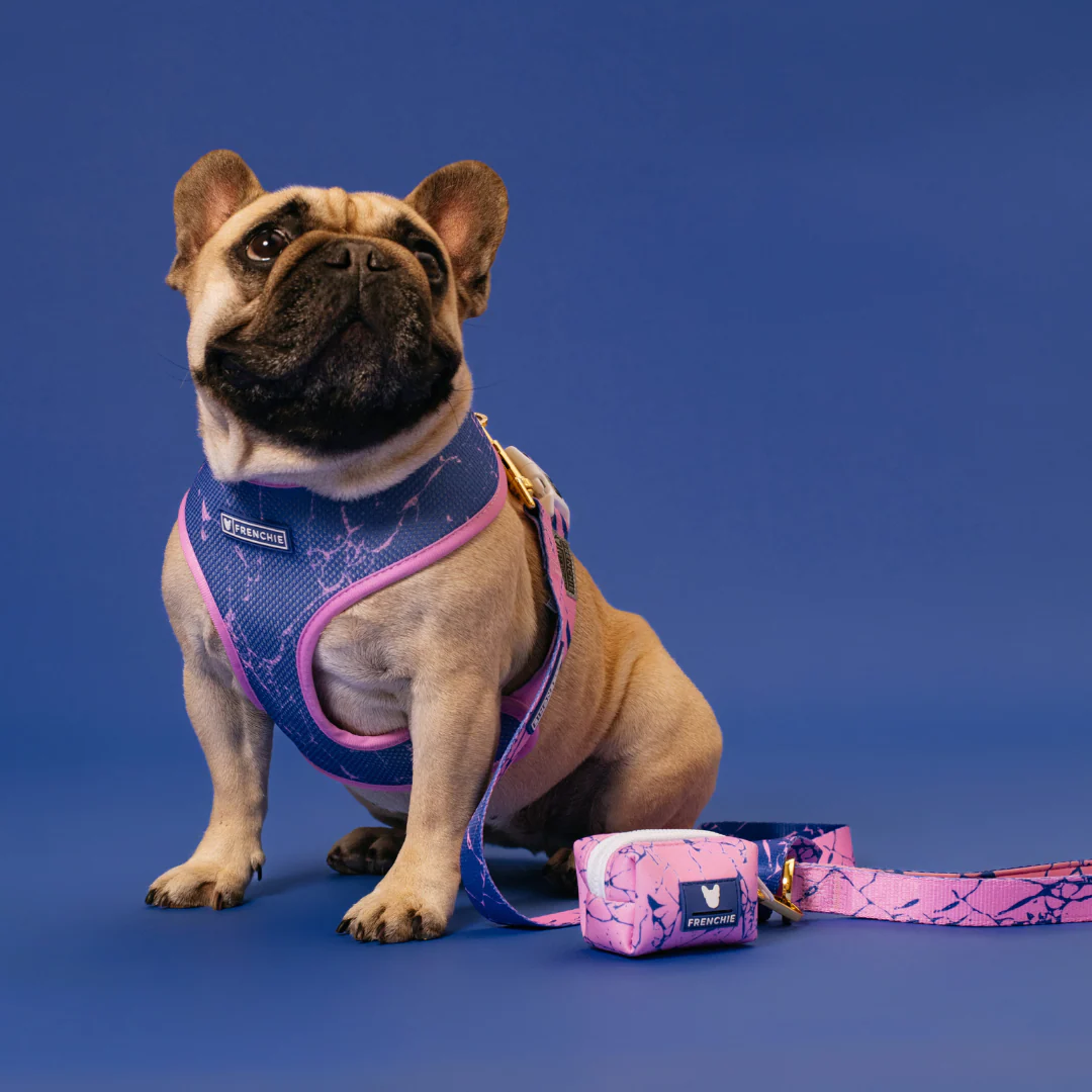 Frenchie Duo Reversible Harness - Pink Marble - Image 8