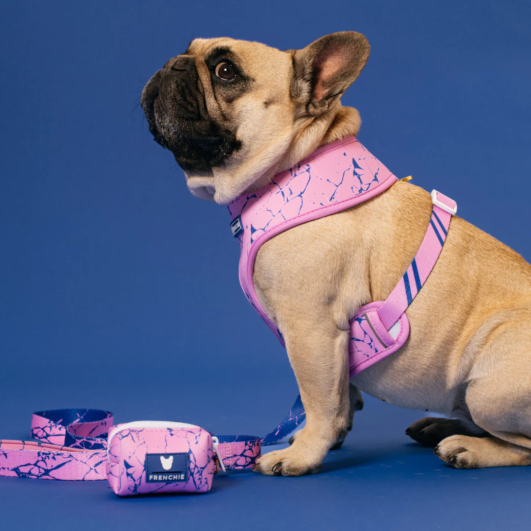 Frenchie Duo Reversible Harness - Pink Marble - Image 9