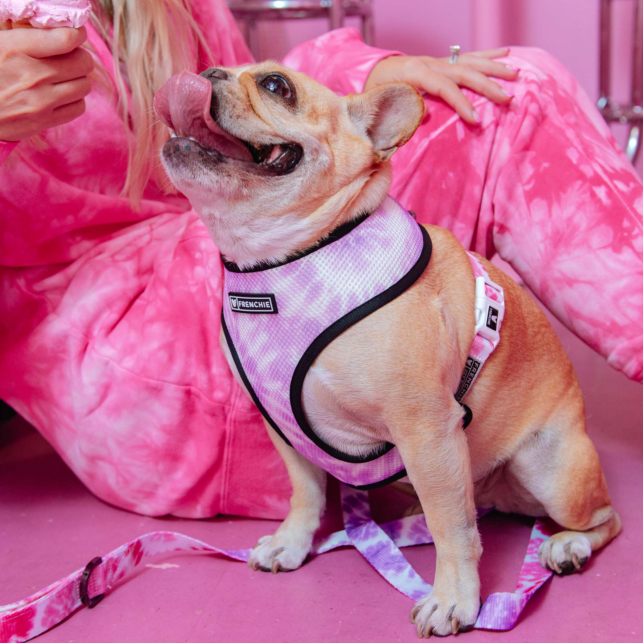 Frenchie Duo Reversible Harness - Pink Tie Dye - Image 3