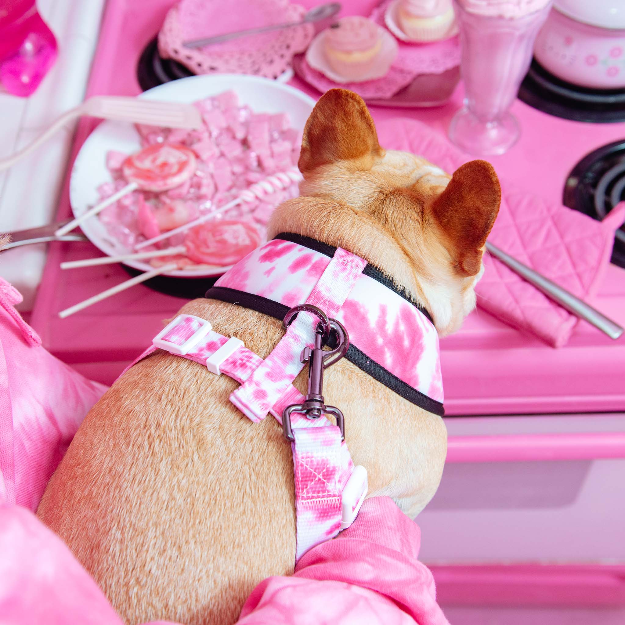 Frenchie Duo Reversible Harness - Pink Tie Dye - Image 4