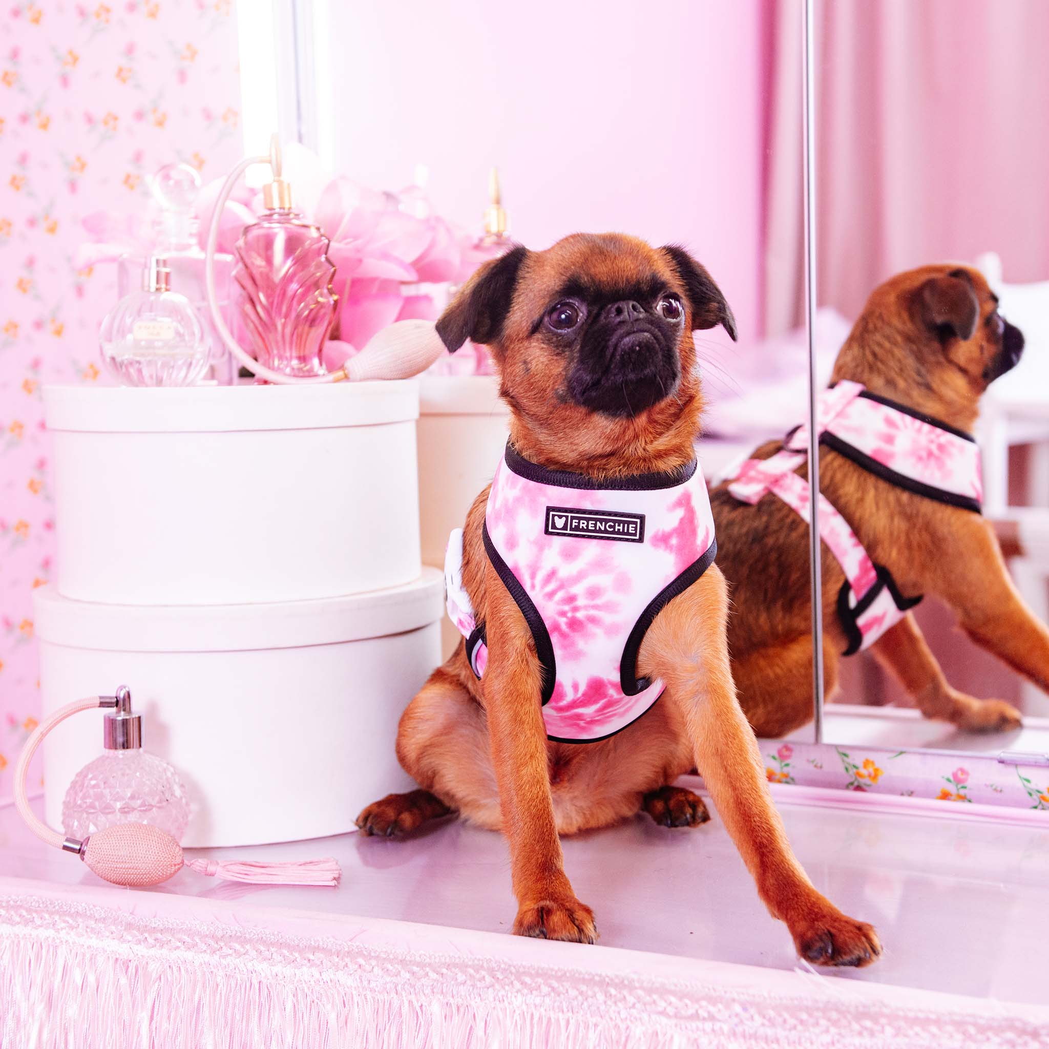 Frenchie Duo Reversible Harness - Pink Tie Dye - Image 5