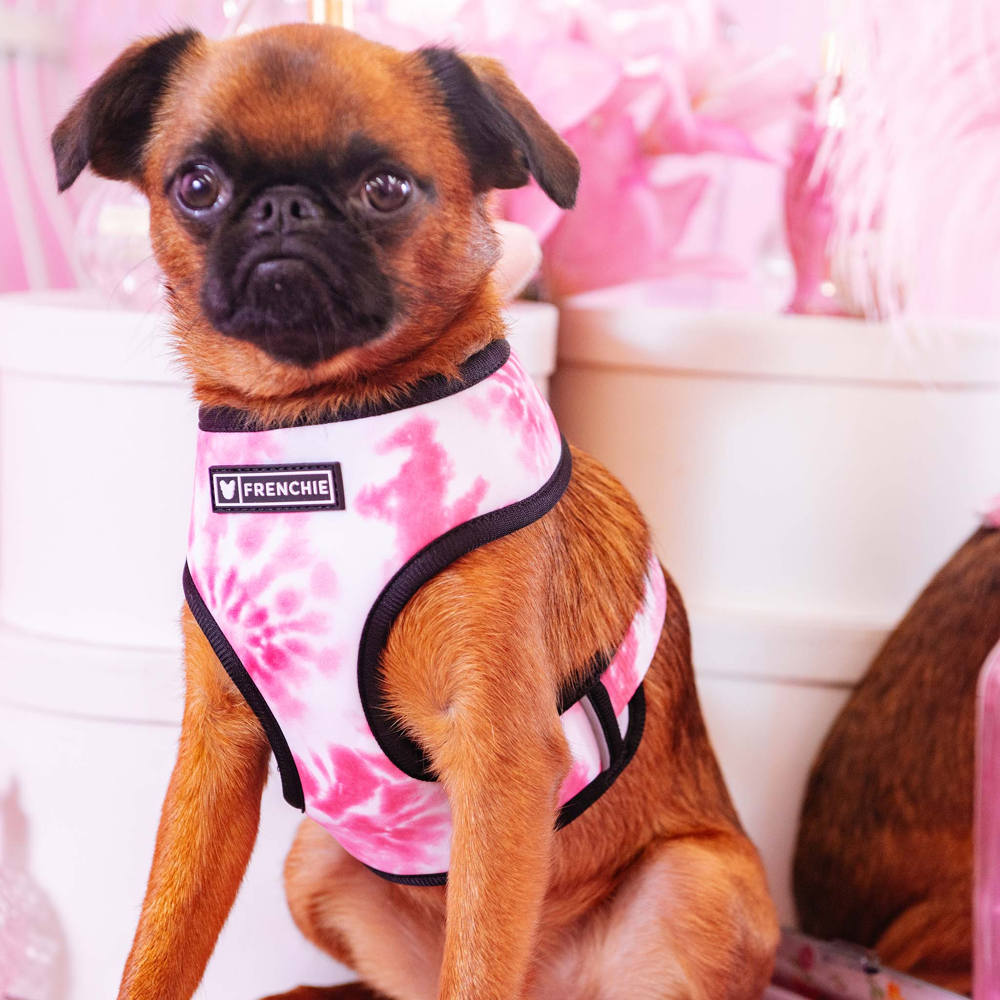 Frenchie Duo Reversible Harness - Pink Tie Dye - Image 6