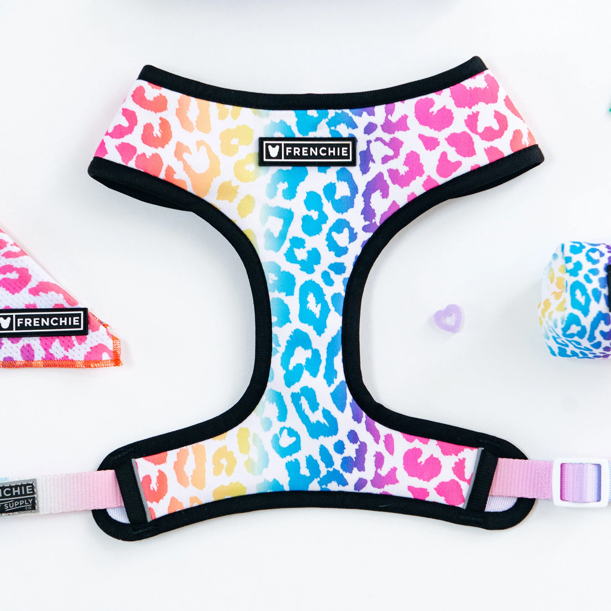 Frenchie Duo Reversible Harness - Pride Leo - Image 10