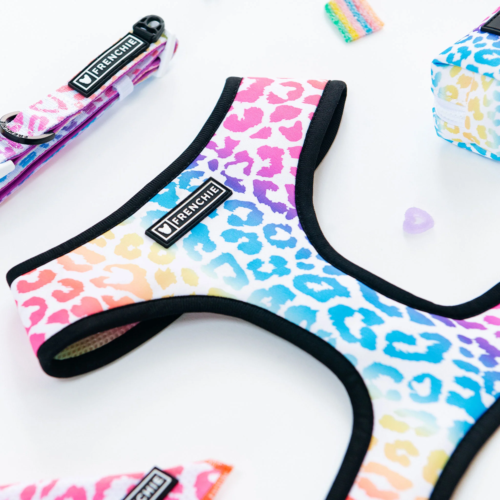 Frenchie Duo Reversible Harness - Pride Leo - Image 11