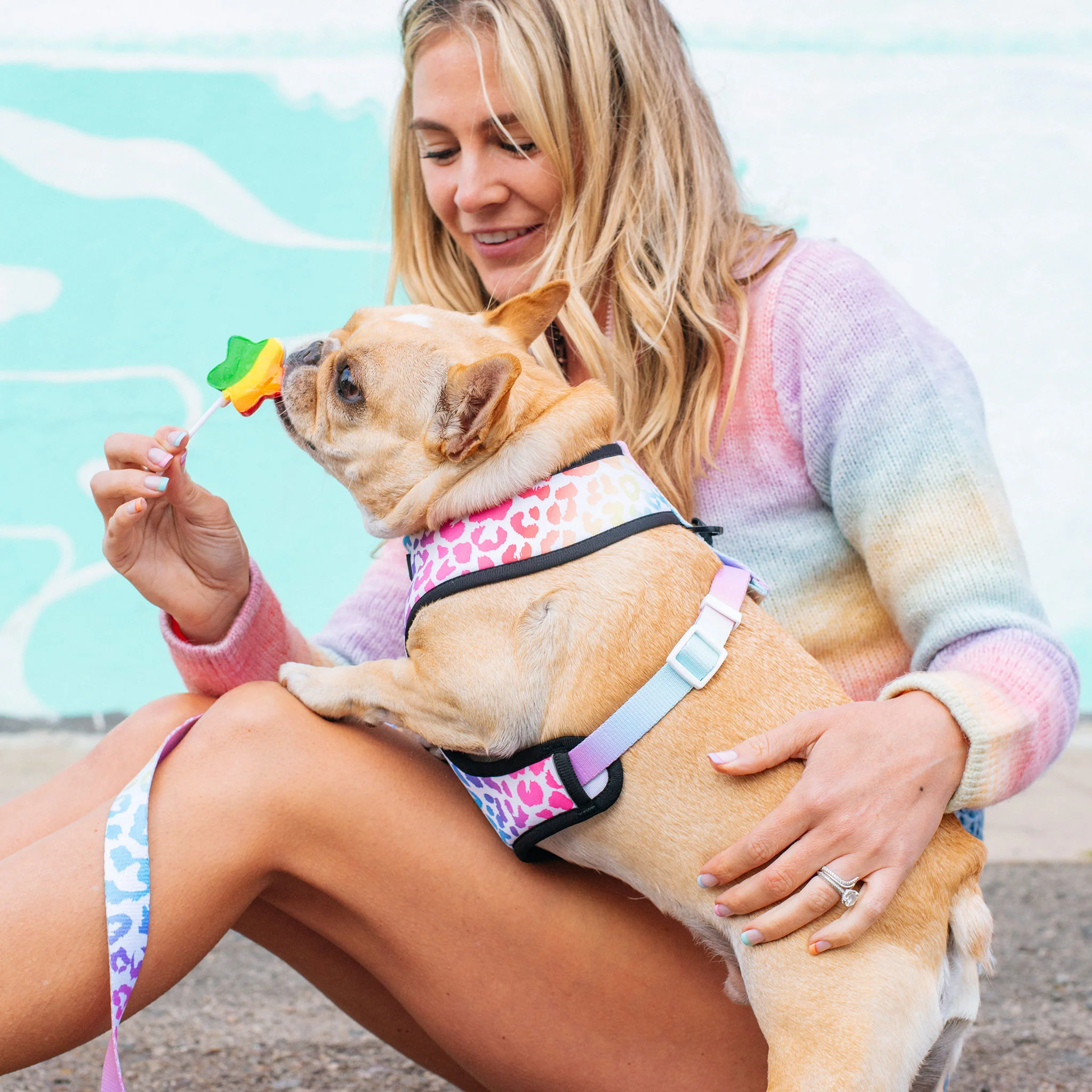 Frenchie Duo Reversible Harness - Pride Leo - Image 3