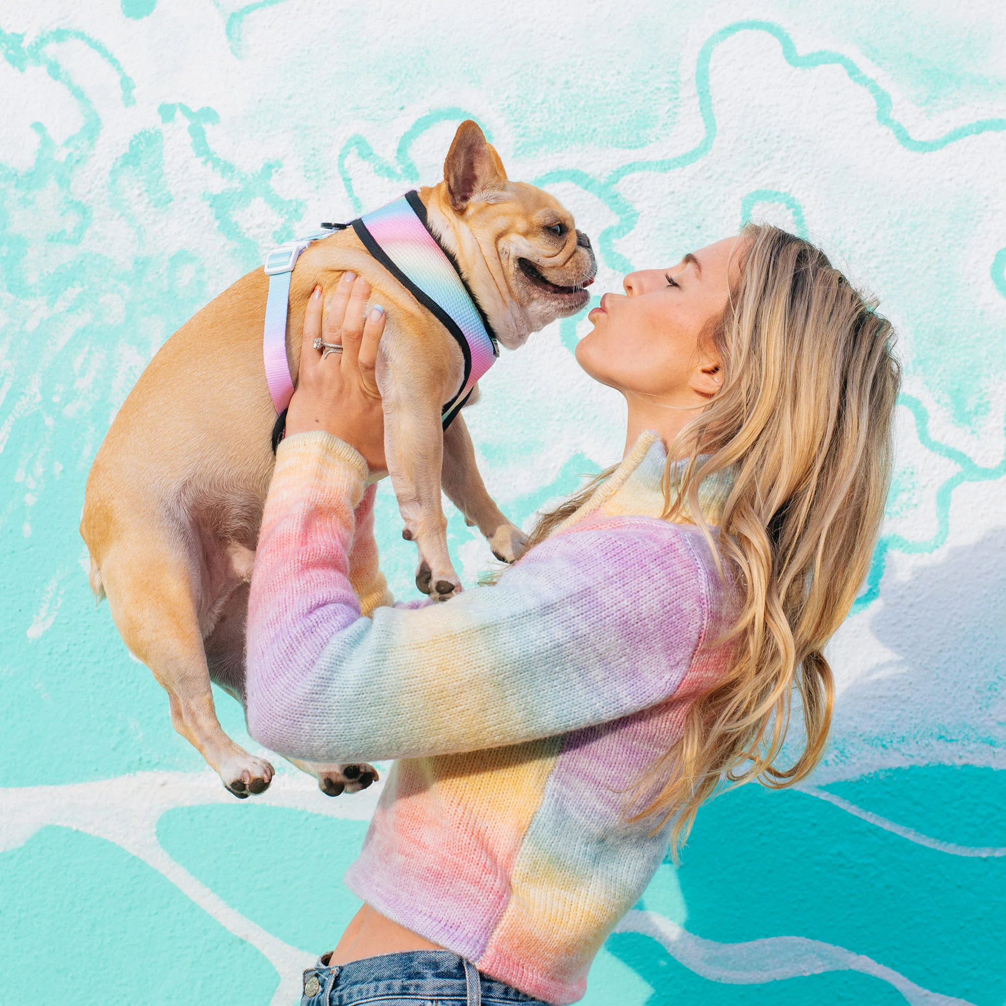 Frenchie Duo Reversible Harness - Pride Leo - Image 7