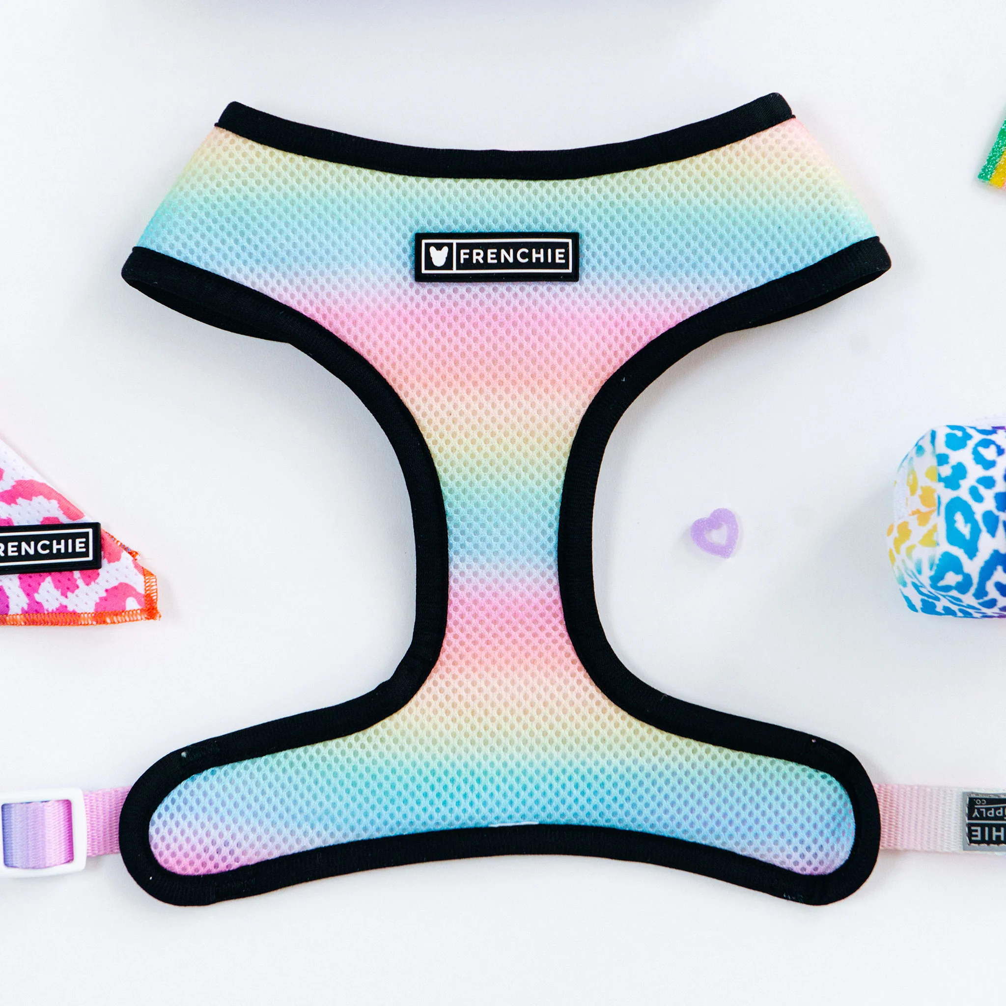 Frenchie Duo Reversible Harness - Pride Leo - Image 8