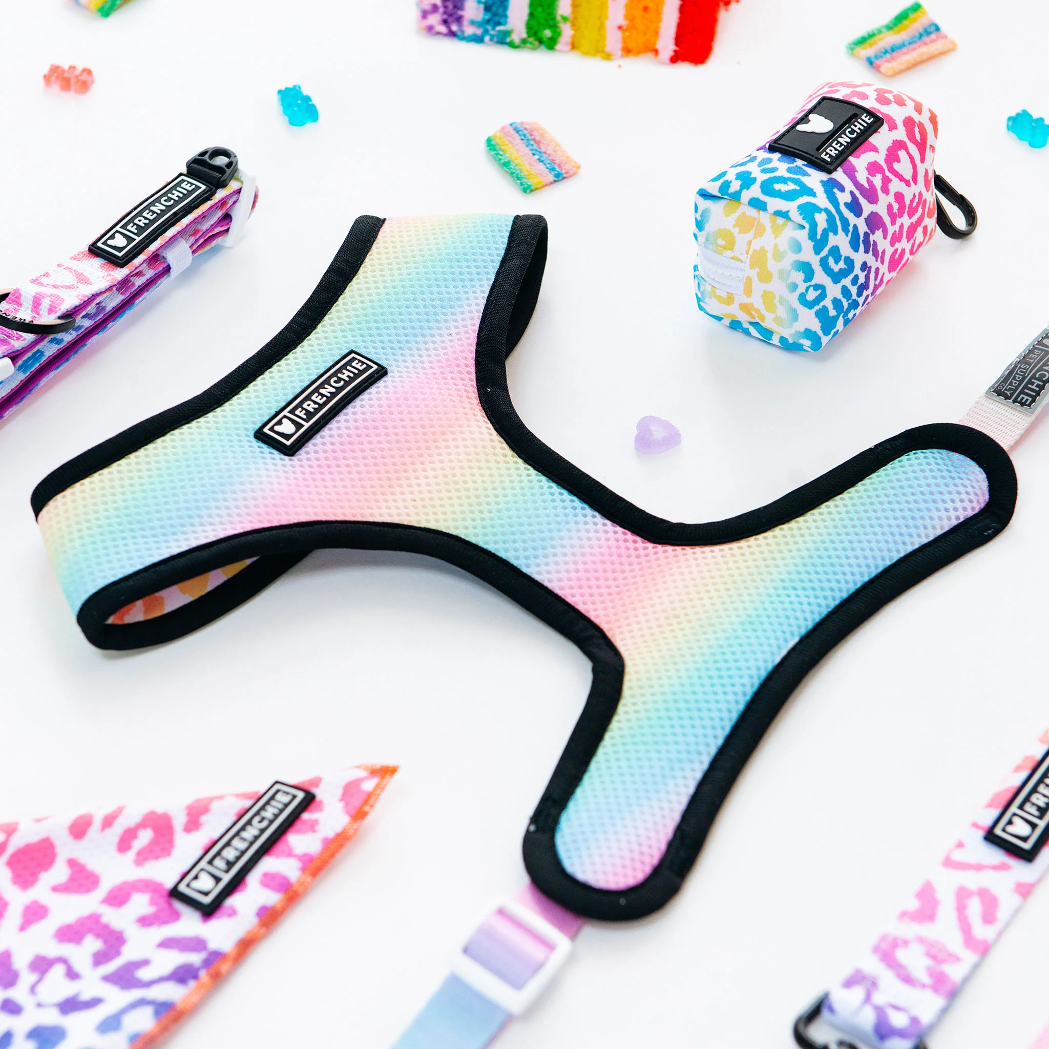 Frenchie Duo Reversible Harness - Pride Leo - Image 9
