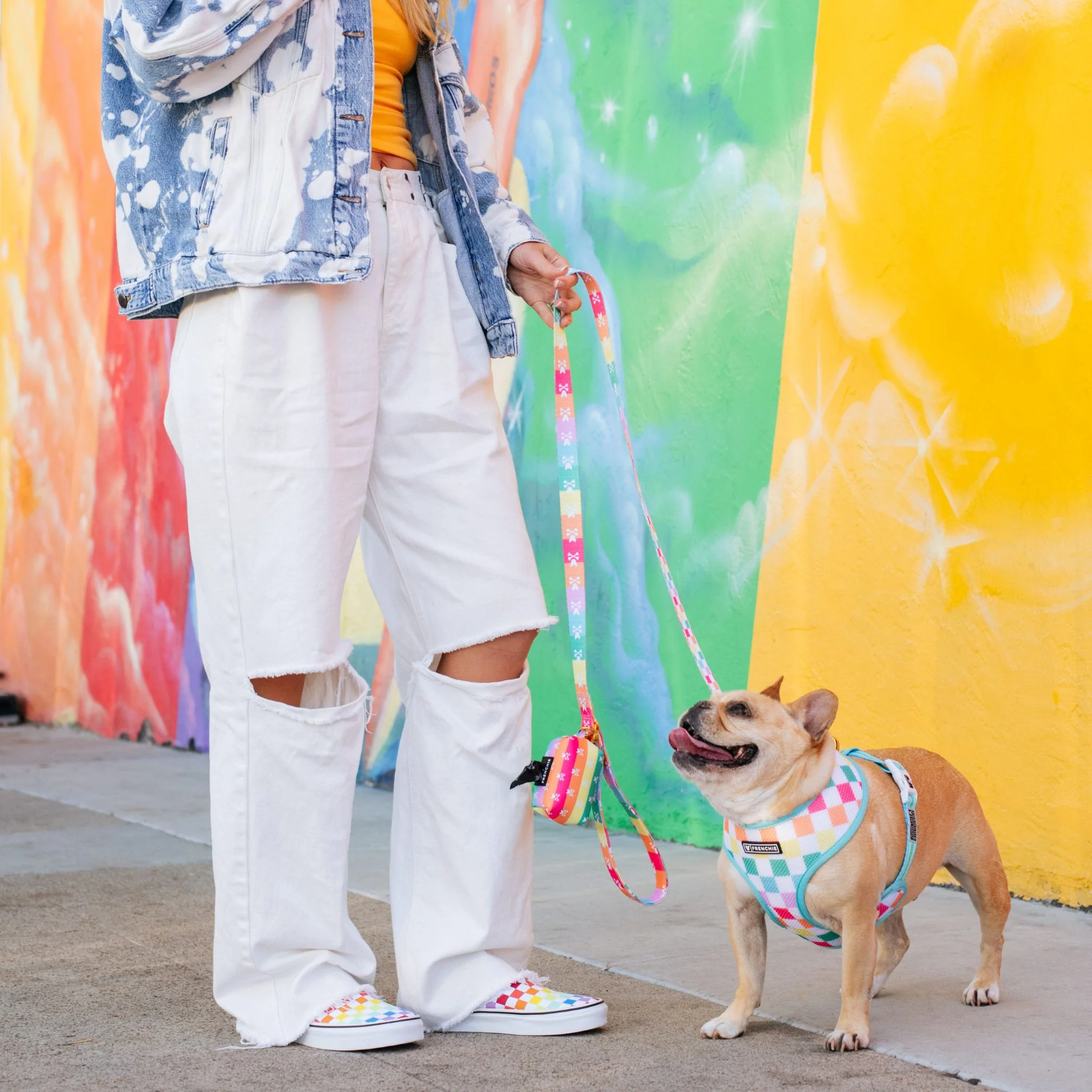 Frenchie Duo Reversible Harness - Rainbow Bad to the Bone - Image 7