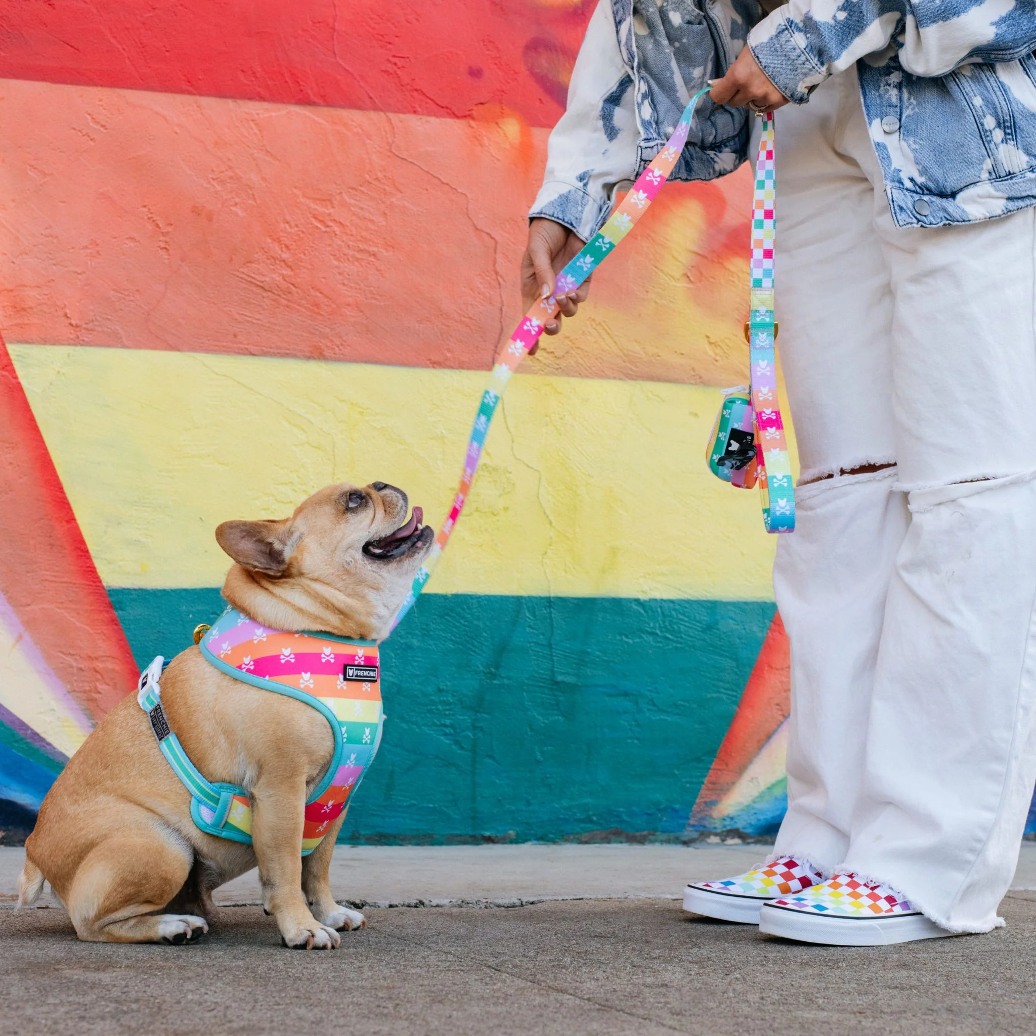 Frenchie Duo Reversible Harness - Rainbow Bad to the Bone - Image 8
