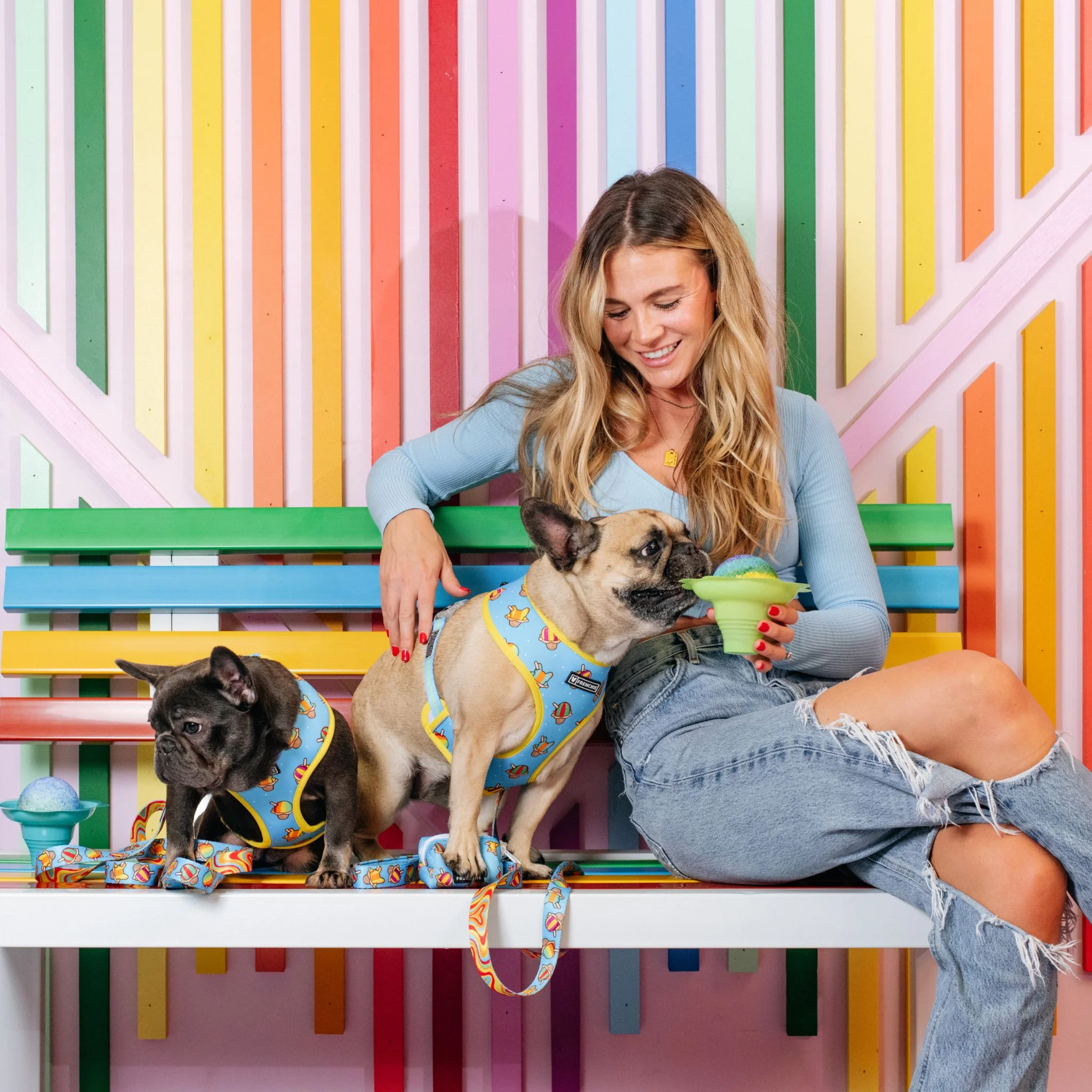 Frenchie Duo Reversible Harness - Rainbow Ice - Image 2
