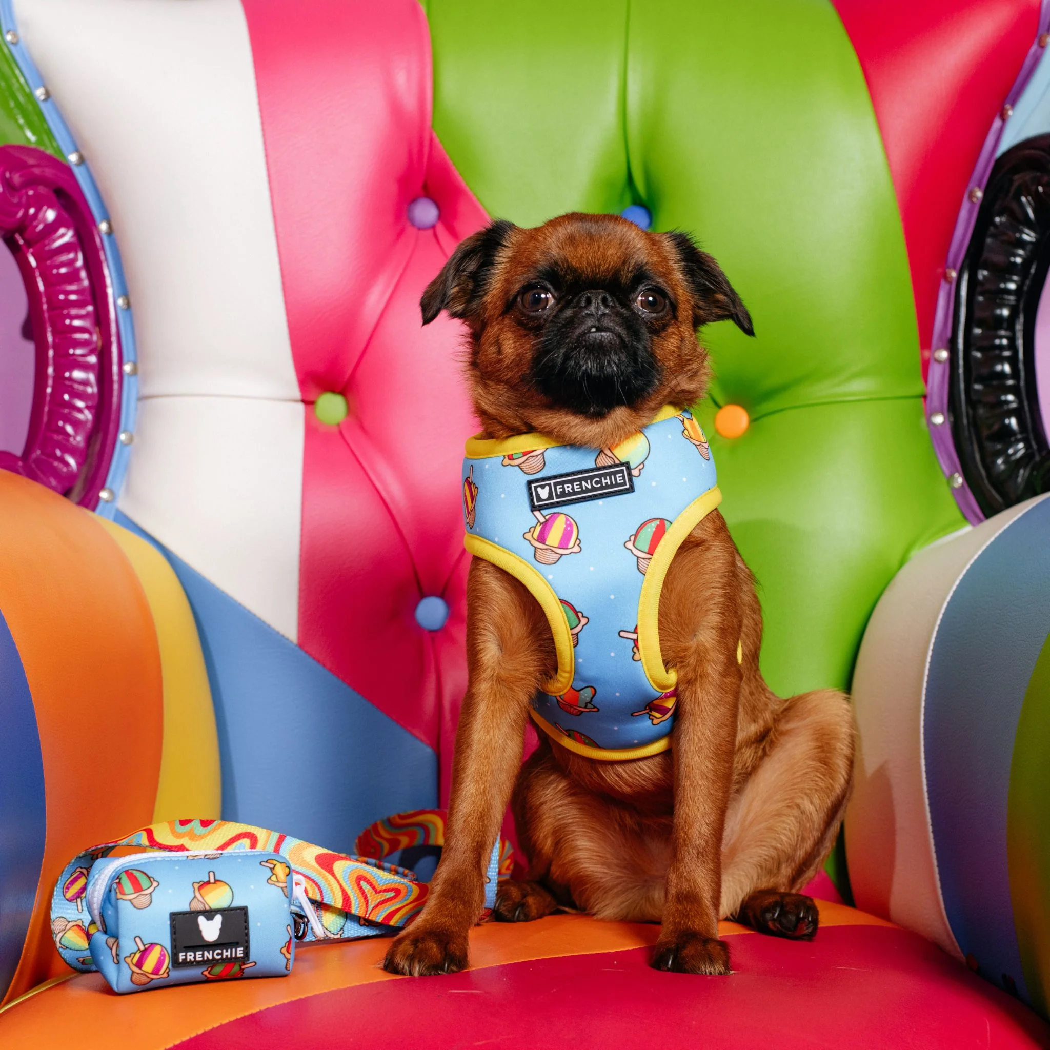 Frenchie Duo Reversible Harness - Rainbow Ice - Image 6