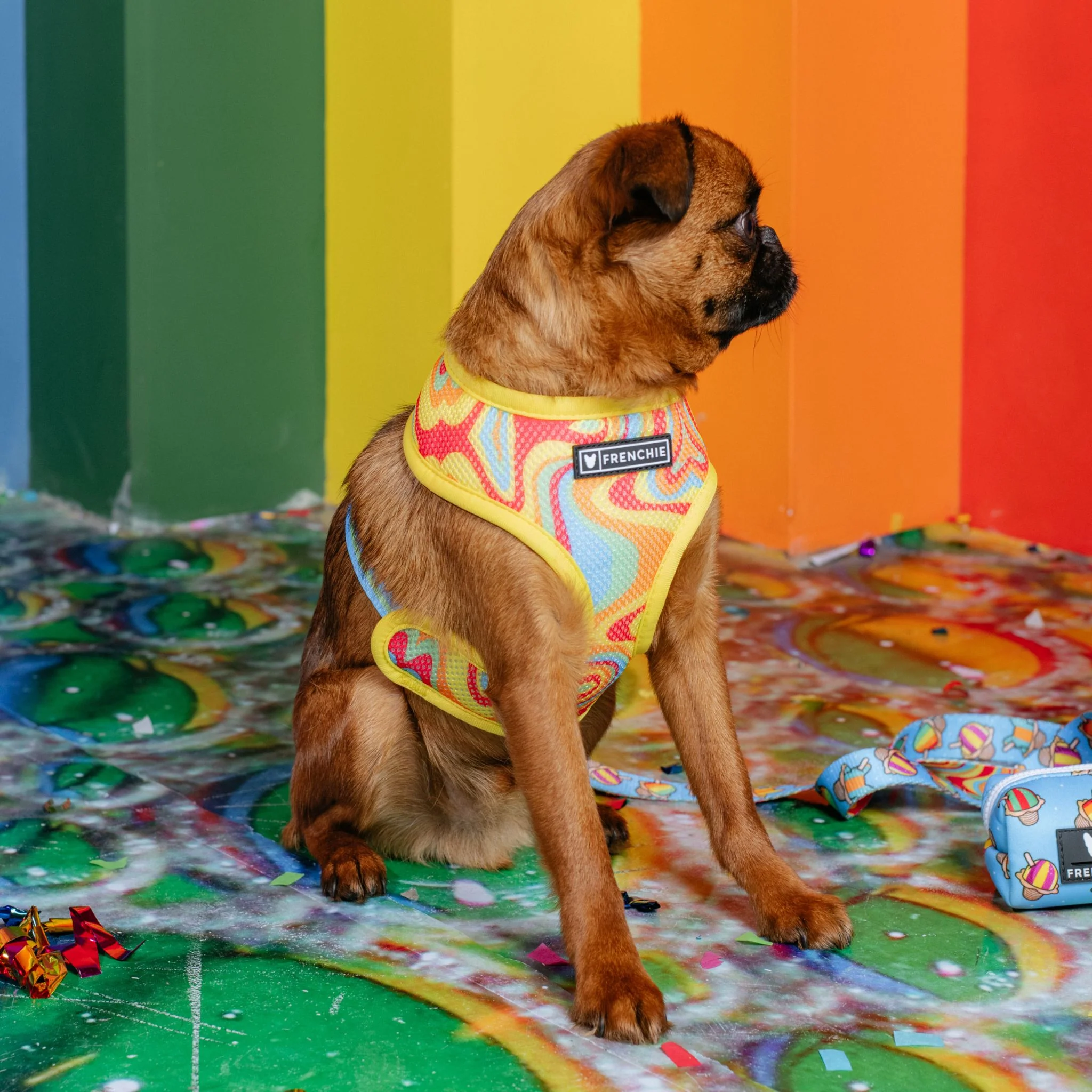 Frenchie Duo Reversible Harness - Rainbow Ice - Image 7