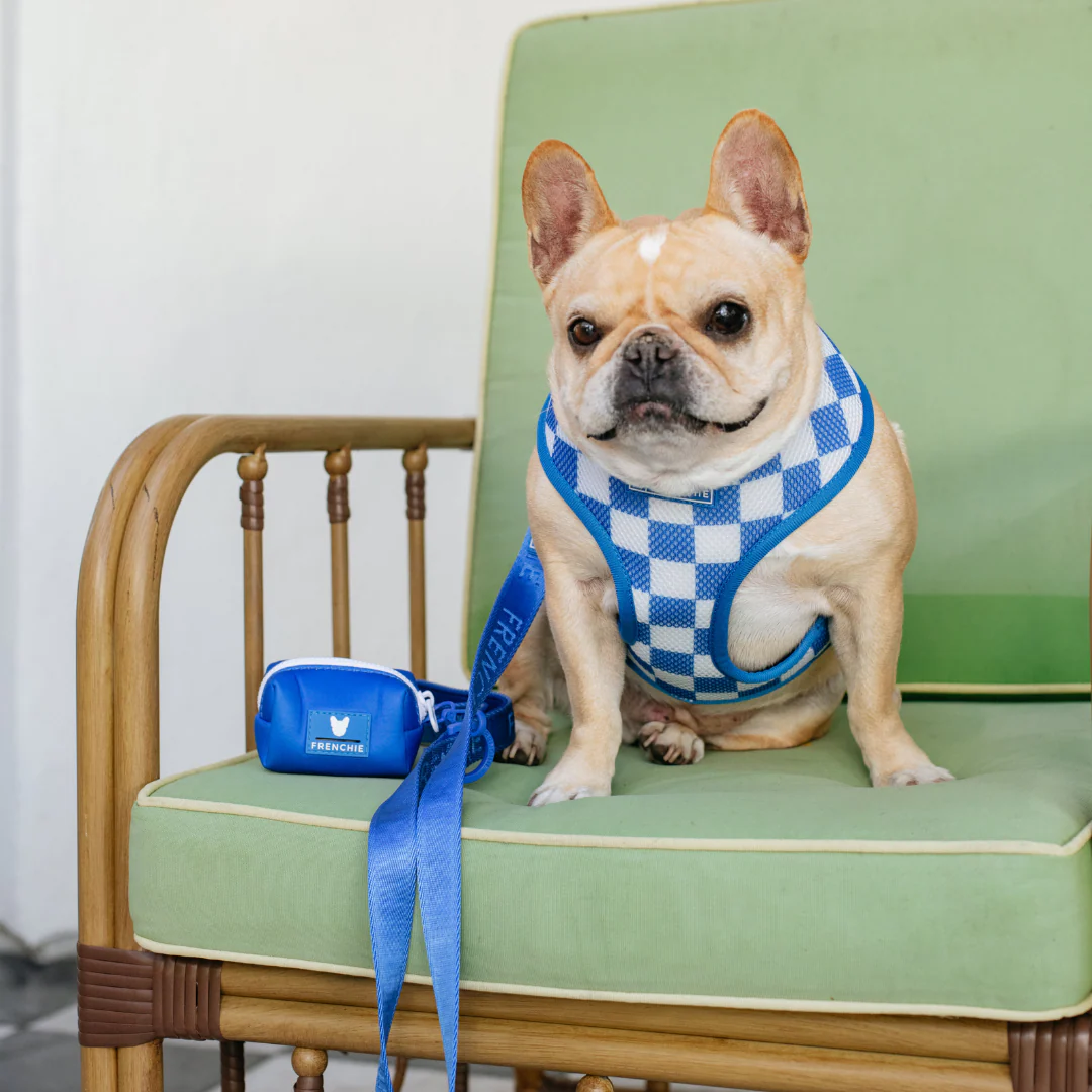 Frenchie Duo Reversible Harness - Solid Royal Blue - Image 10