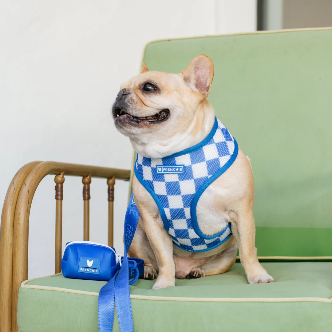 Frenchie Duo Reversible Harness - Solid Royal Blue - Image 3