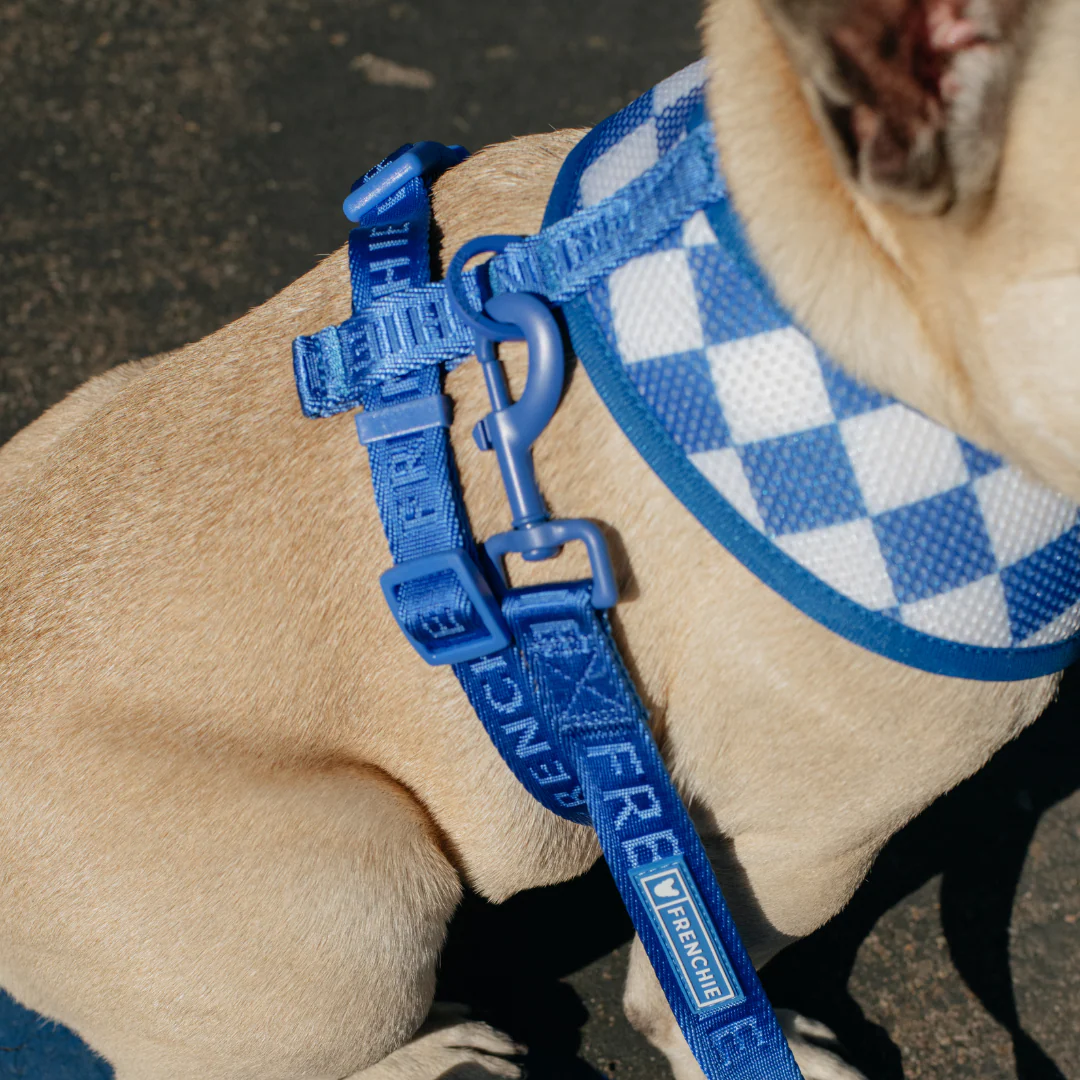 Frenchie Duo Reversible Harness - Solid Royal Blue - Image 6