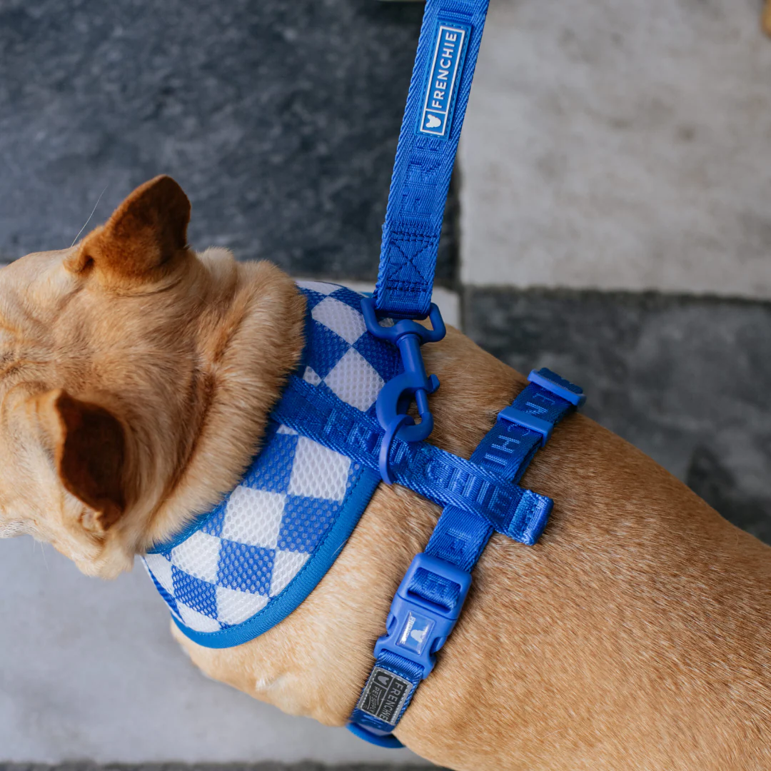 Frenchie Duo Reversible Harness - Solid Royal Blue - Image 9