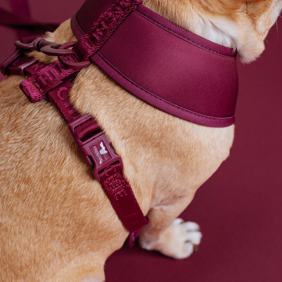 Frenchie Duo Reversible Harness - Solid Ruby - Image 10