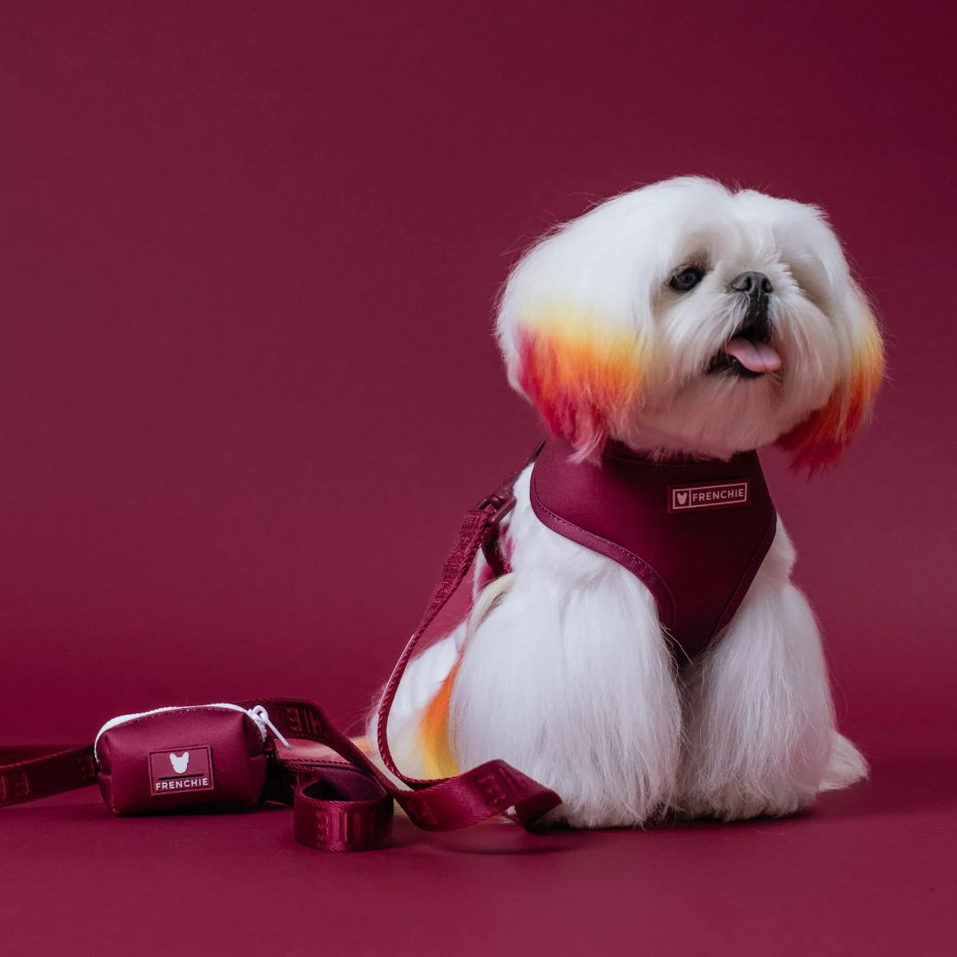 Frenchie Duo Reversible Harness - Solid Ruby - Image 11