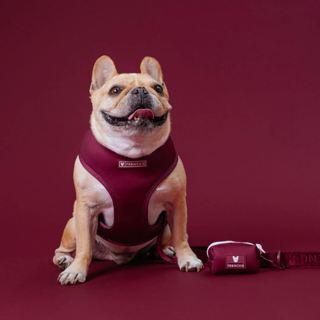 Frenchie Duo Reversible Harness - Solid Ruby - Image 2