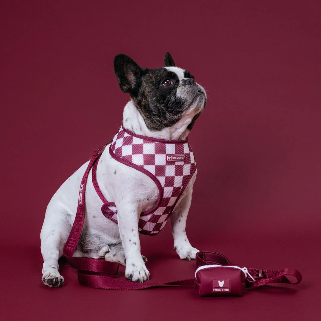 Frenchie Duo Reversible Harness - Solid Ruby - Image 3