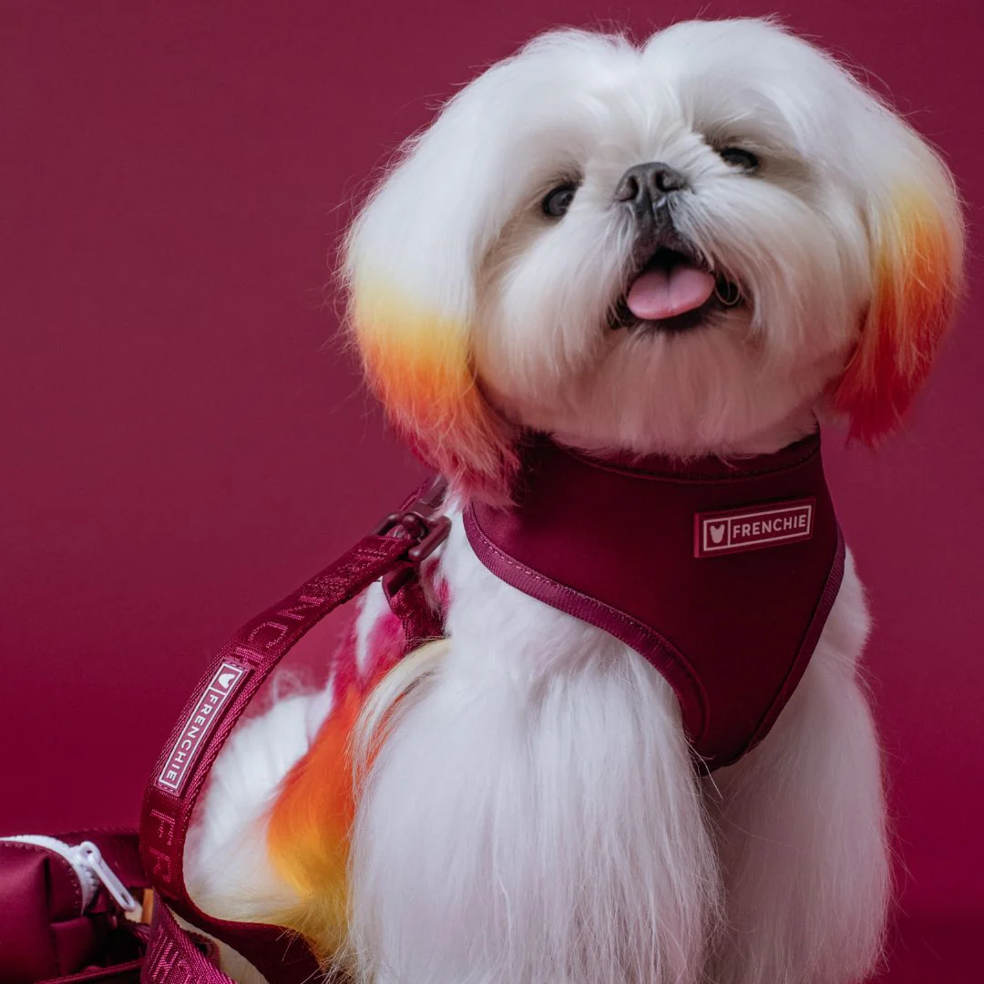 Frenchie Duo Reversible Harness - Solid Ruby - Image 5