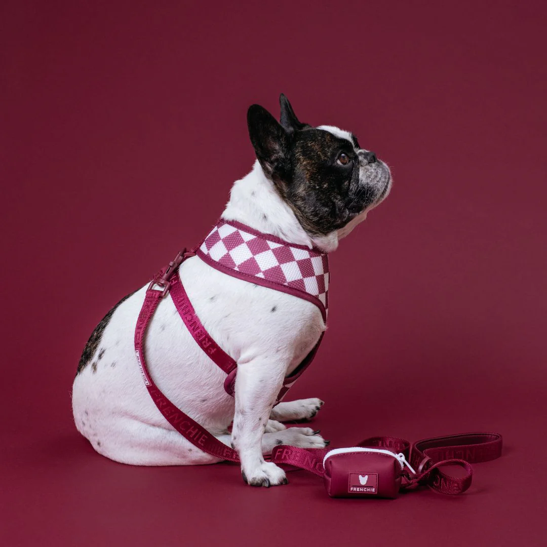 Frenchie Duo Reversible Harness - Solid Ruby - Image 6
