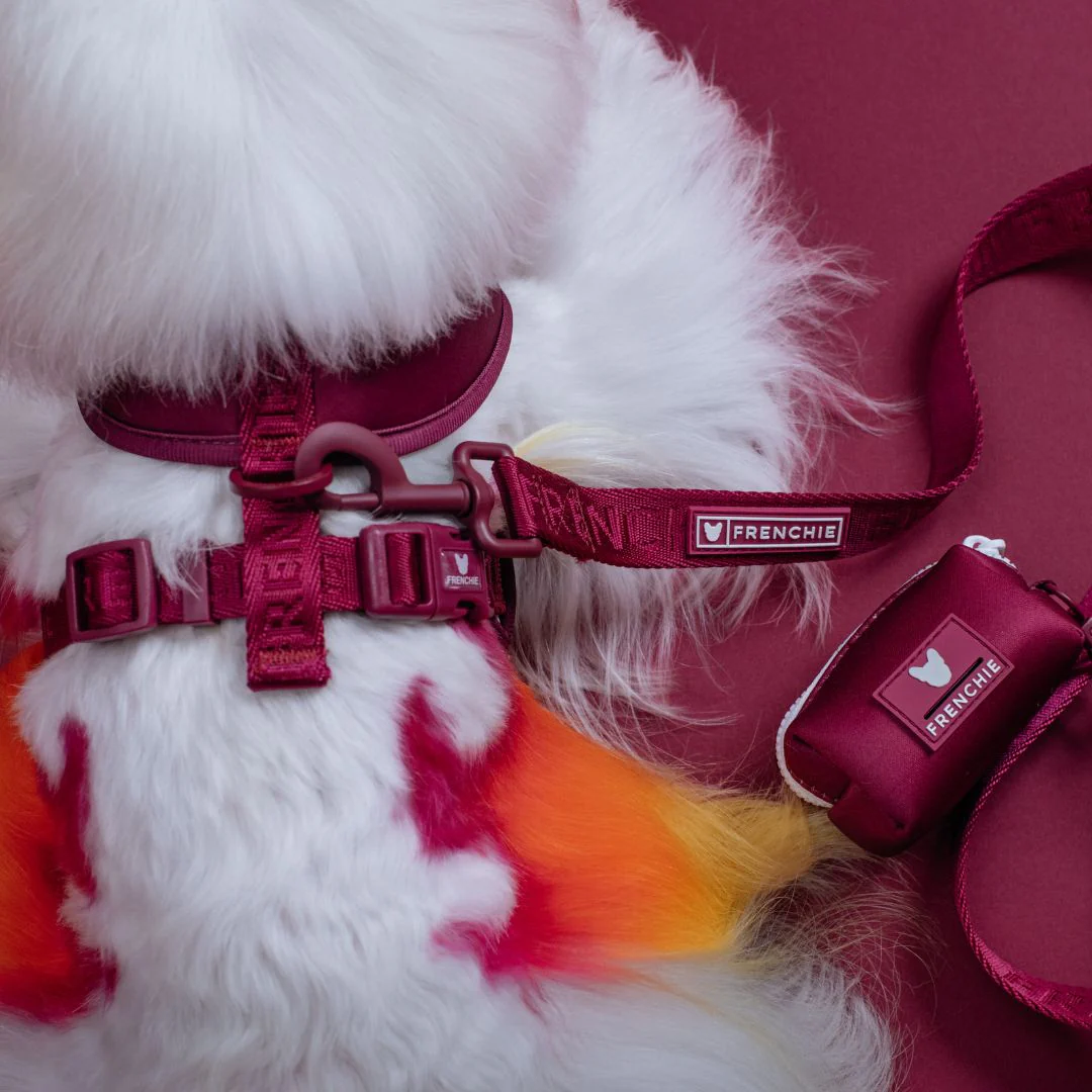 Frenchie Duo Reversible Harness - Solid Ruby - Image 7
