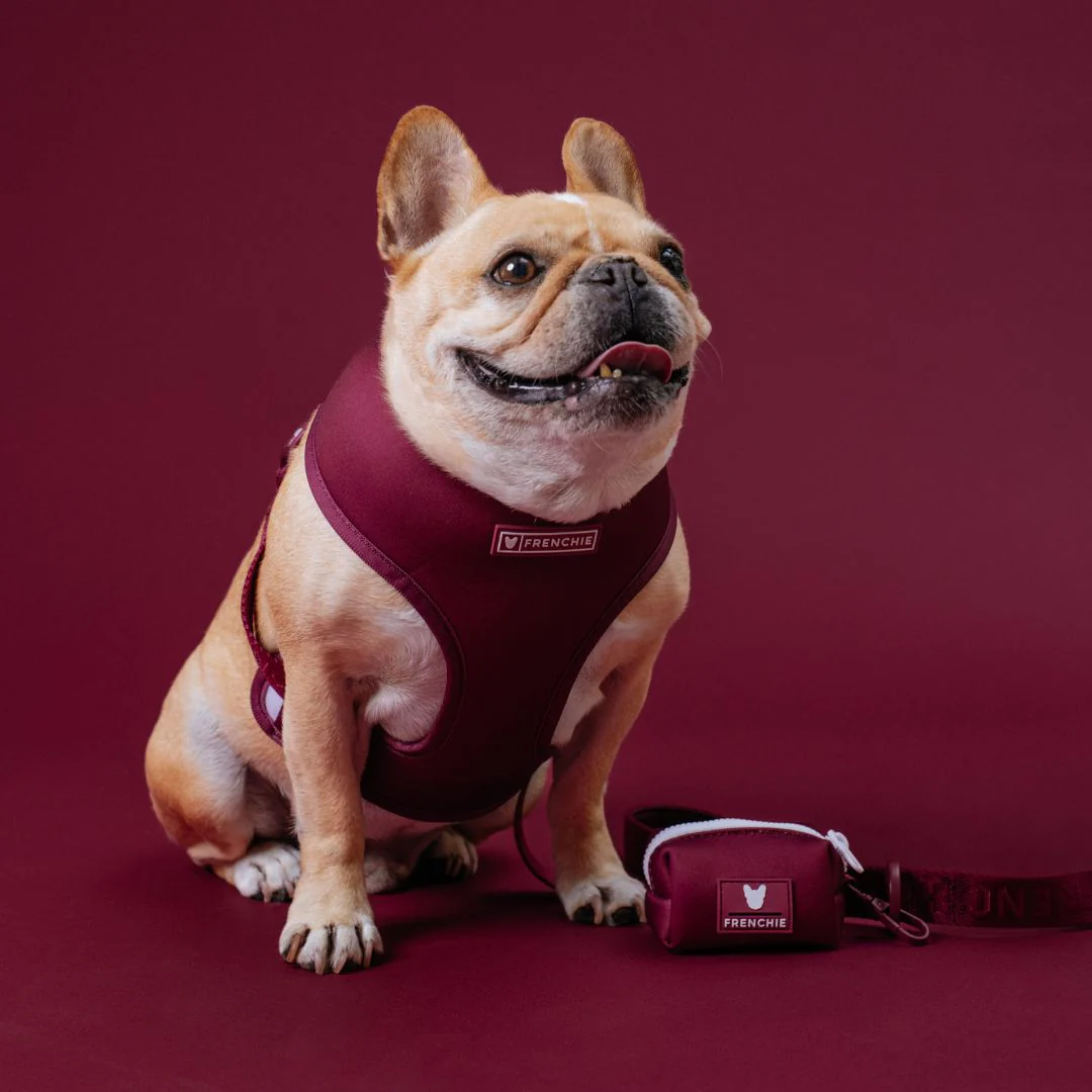Frenchie Duo Reversible Harness - Solid Ruby - Image 8