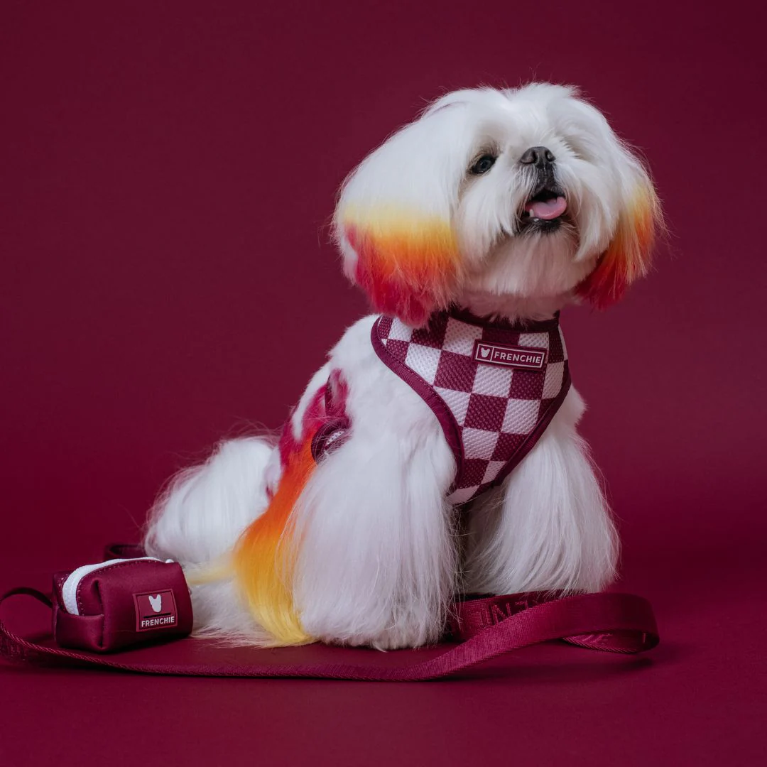Frenchie Duo Reversible Harness - Solid Ruby - Image 9