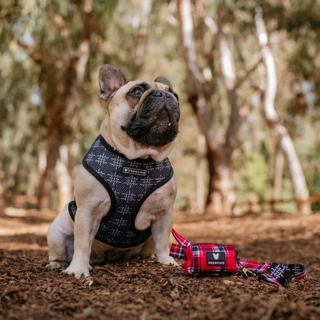 Frenchie Duo Reversible Harness - Scarlet Plaid - Image 10